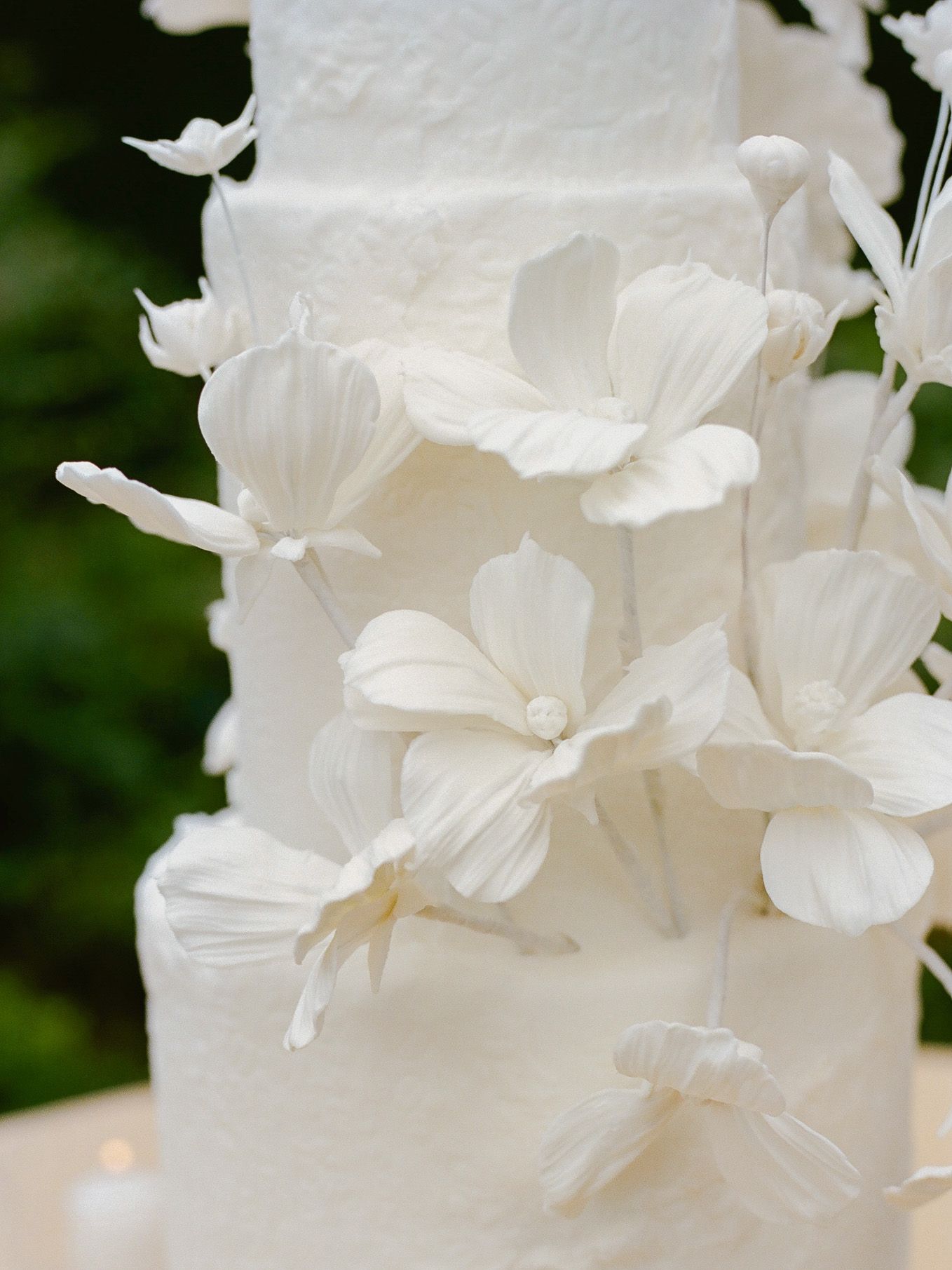 2024-08/Cosmo Wedding at Christiansons Nursery - Kerry Jeanne Photography - 55.jpg