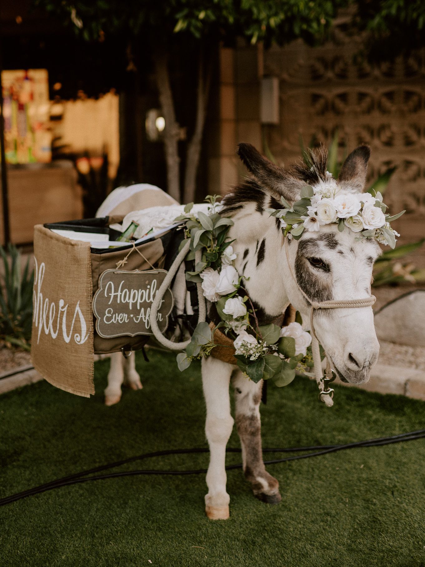 2024-06/Goltl Wedding Edits-Hayley Dolson-5978.jpg