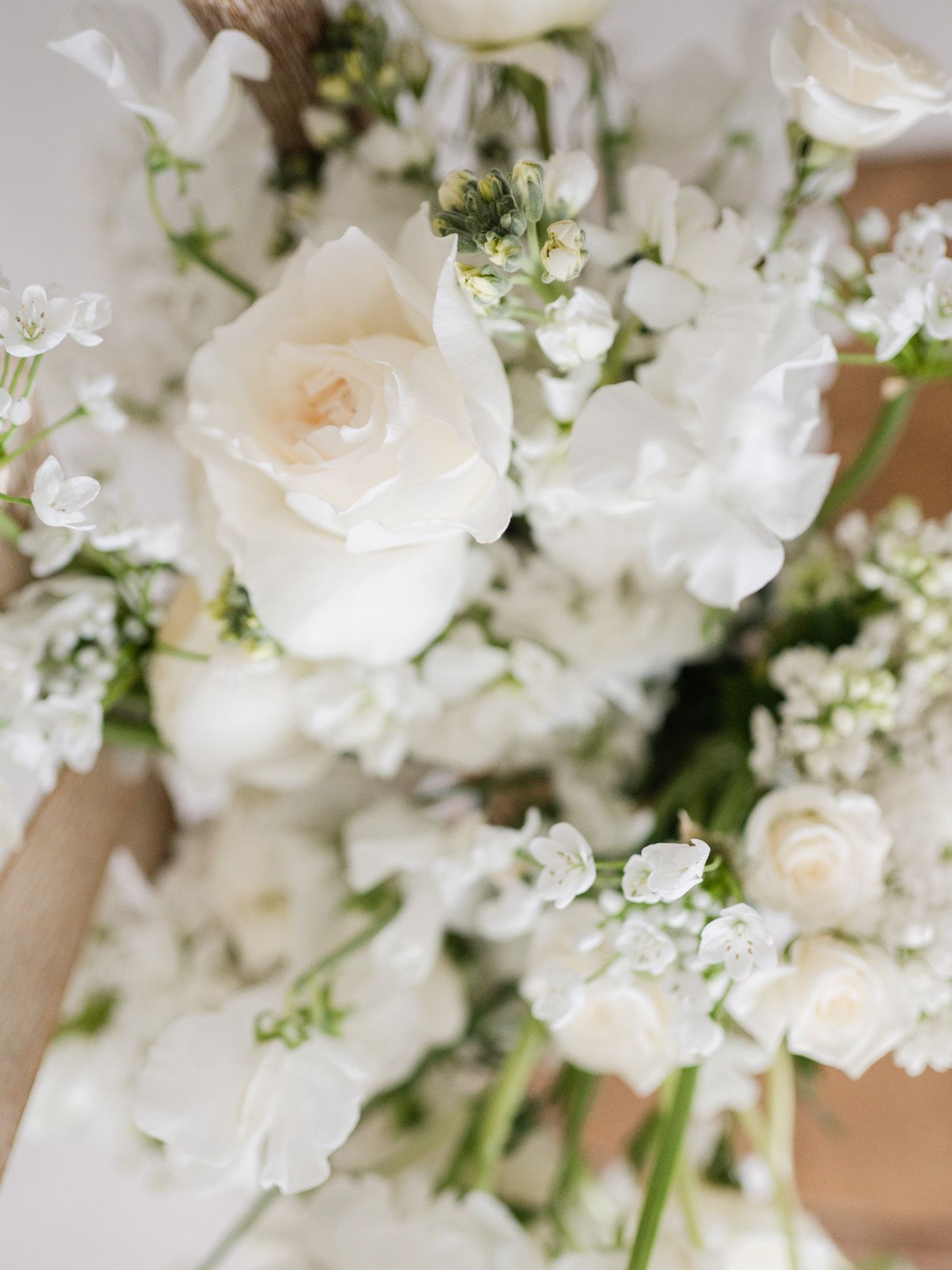2023-08/Bouquet-7.jpg
