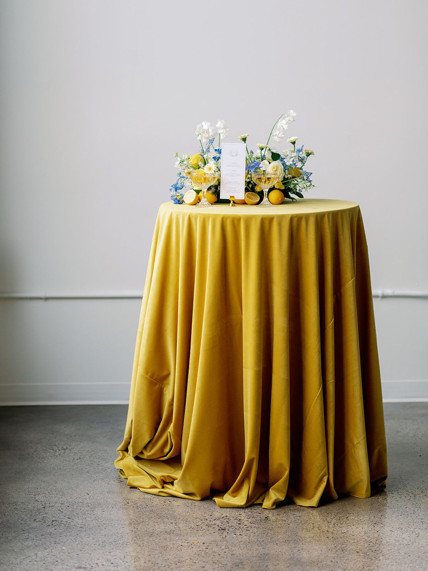2024-01/urban-daisy-styled-shoot-410.jpg