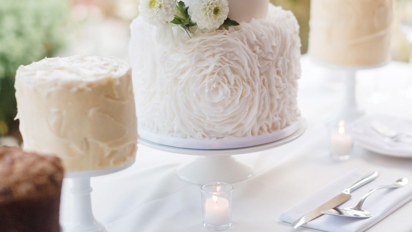 2024-01/Kristen Honeycutt Photo Co.jpg