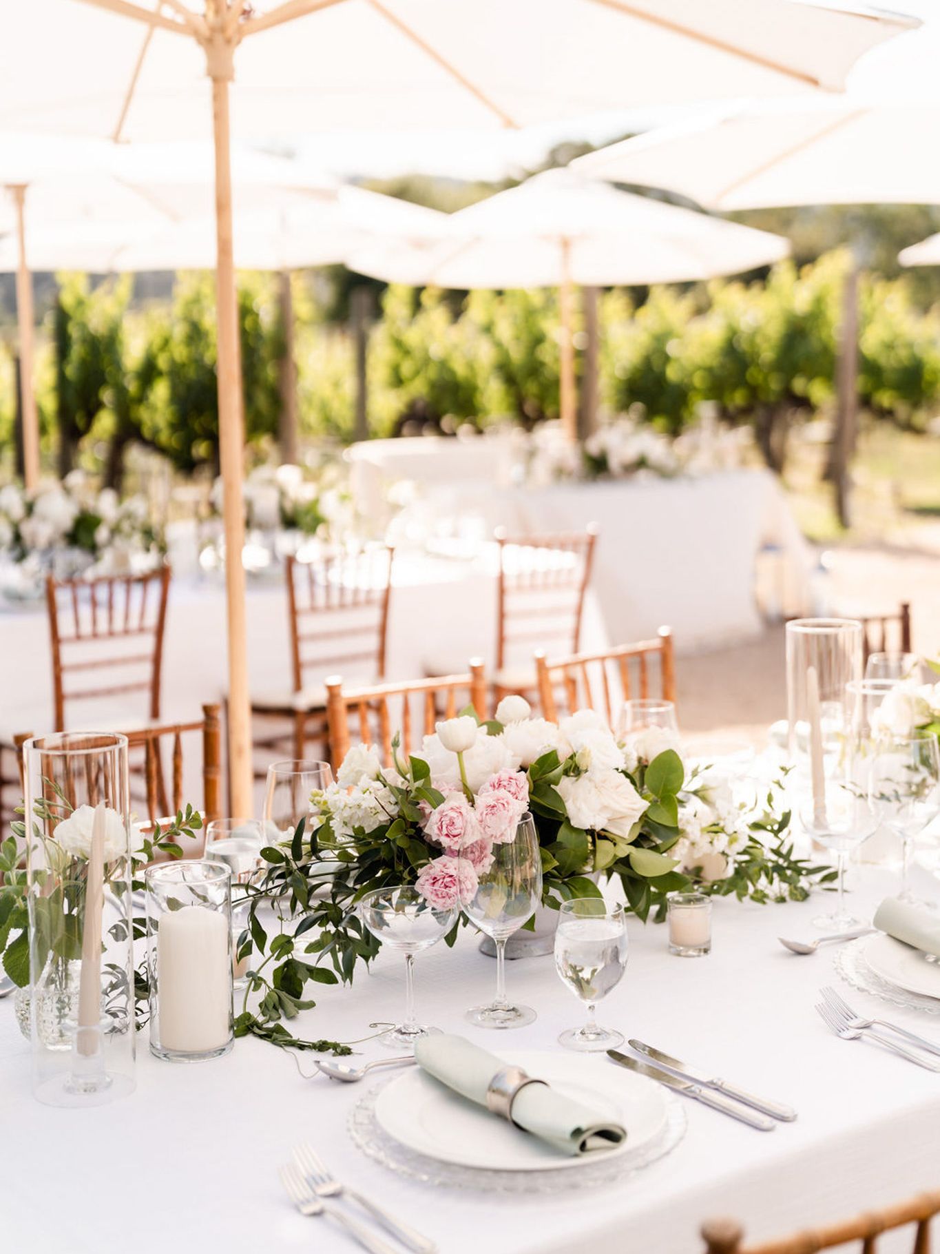 2023-10/StephanieLynnCo-SummerNick-NapaWedding-08269.jpg