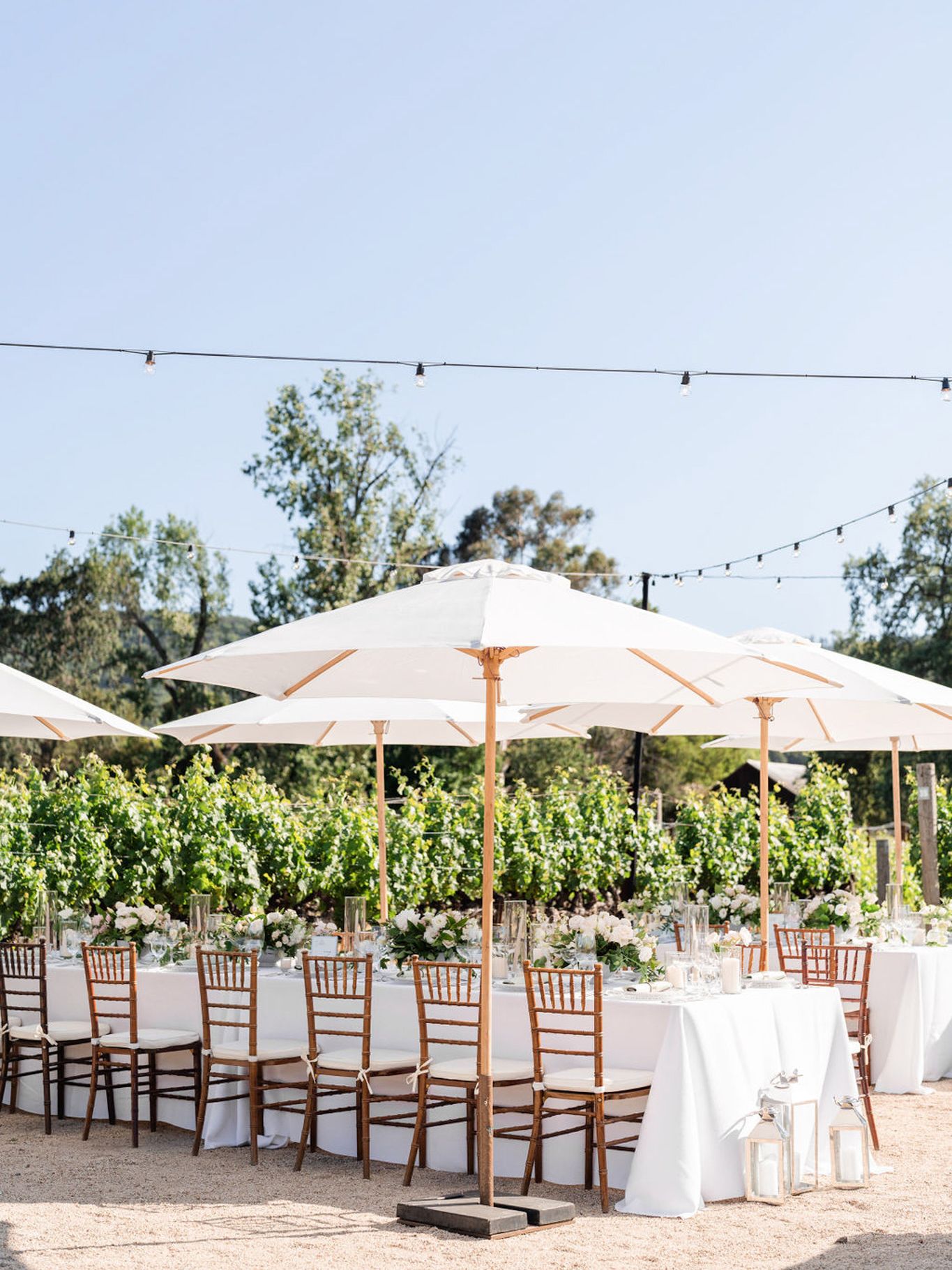 2023-10/StephanieLynnCo-SummerNick-NapaWedding-08244.jpg
