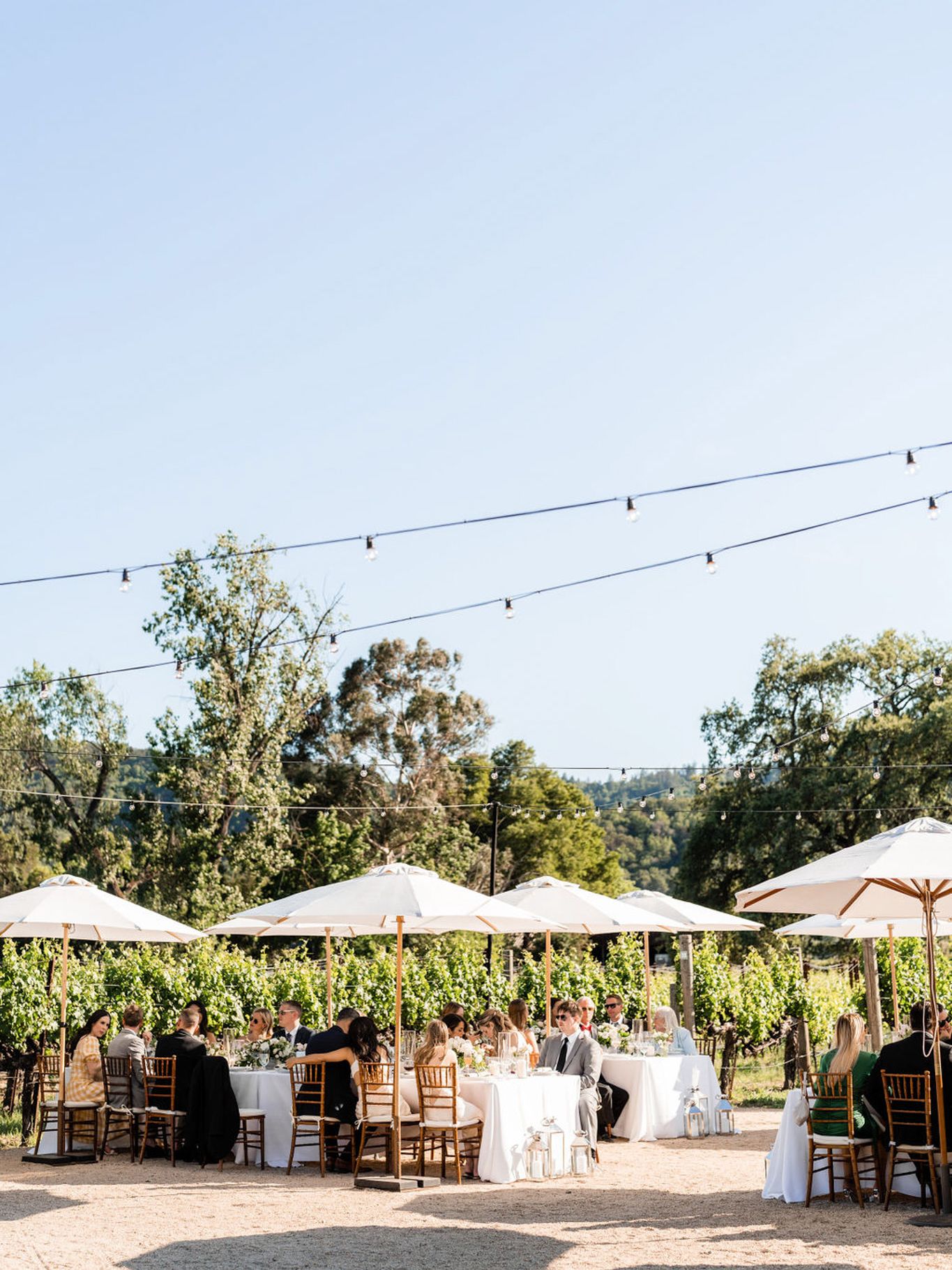 2023-10/StephanieLynnCo-NapaWedding-SummerNick-1156.jpg