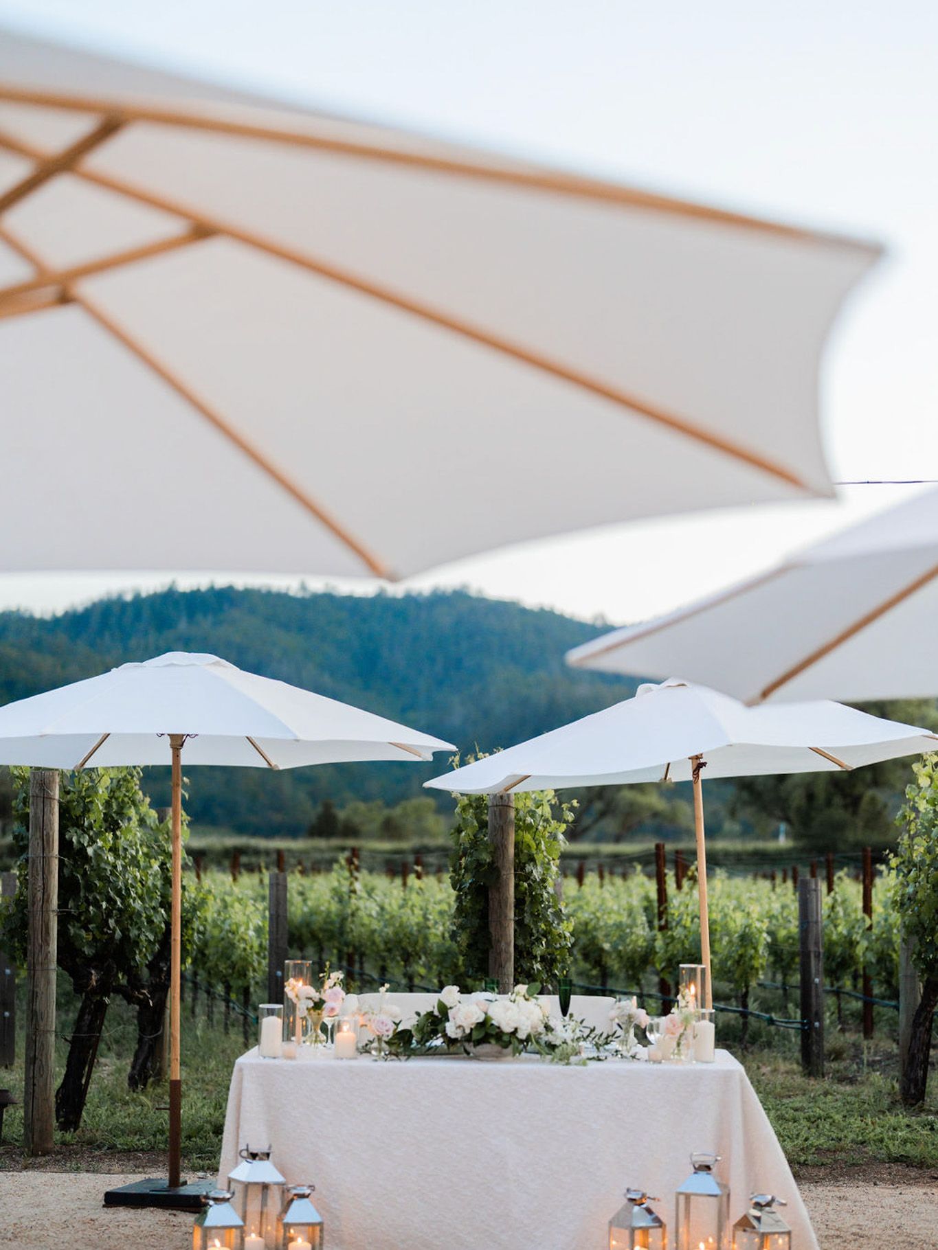 2023-10/StephanieLynnCo-NapaWedding-SummerNick-1500.jpg