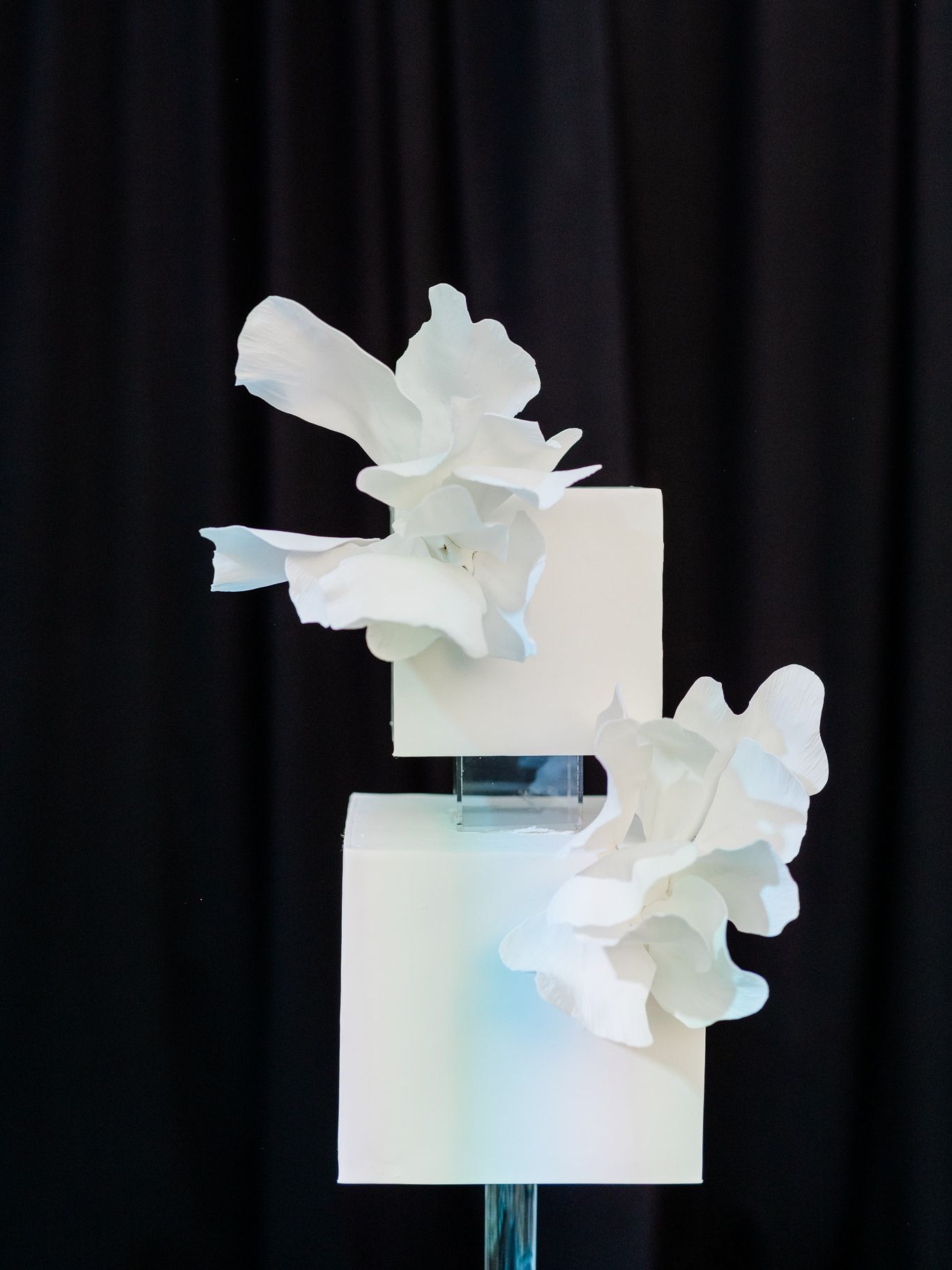 2023-11/CWD_A_Rental_Connection_Launch-124.jpg