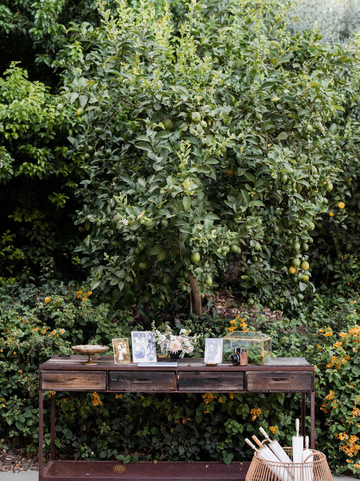 2023-11/StephanieLynnCo-QuailRanch-Taylor+Rob-817.jpg