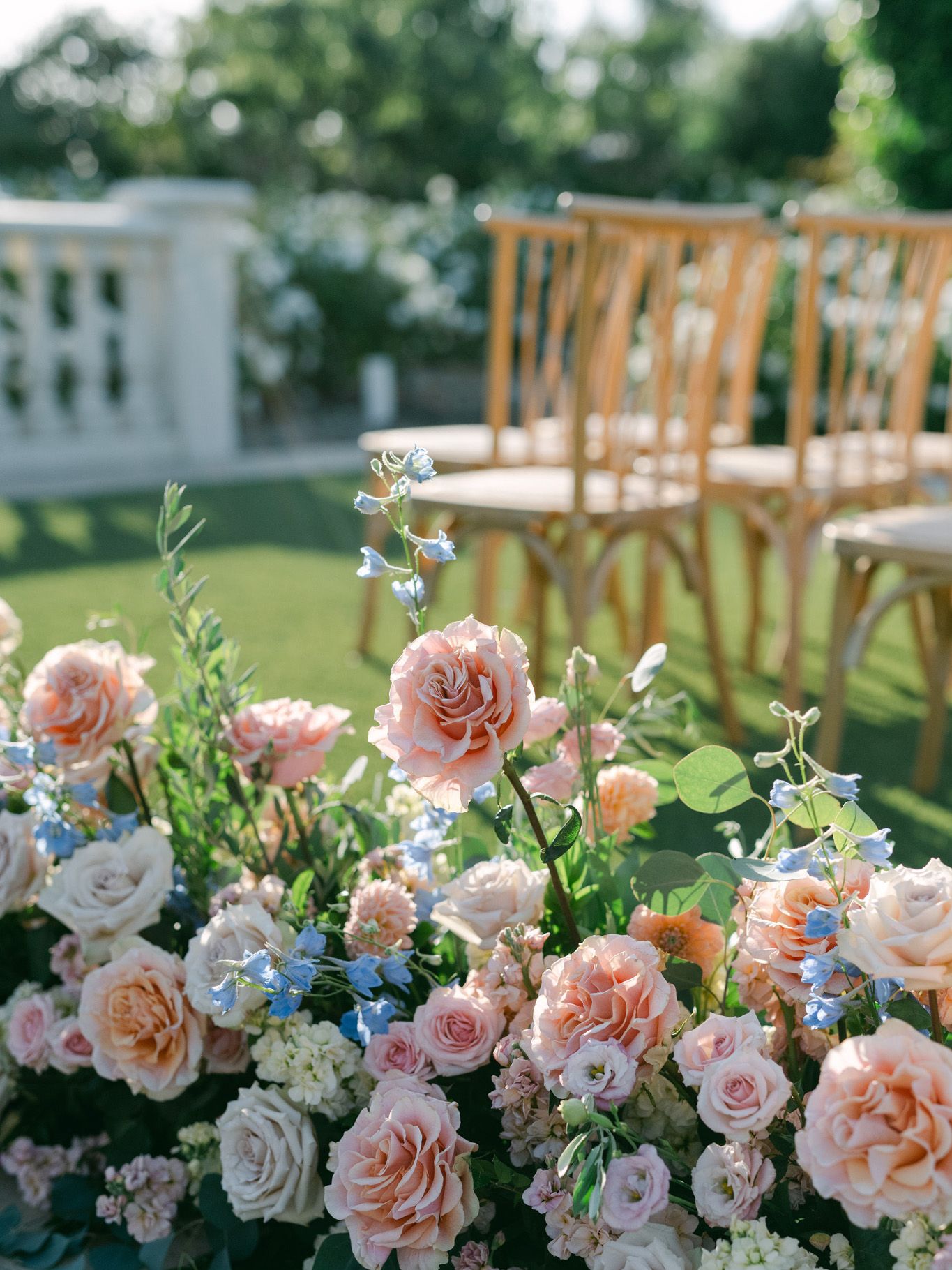 2023-12/Tuscan_Rose_Ranch-118.jpg