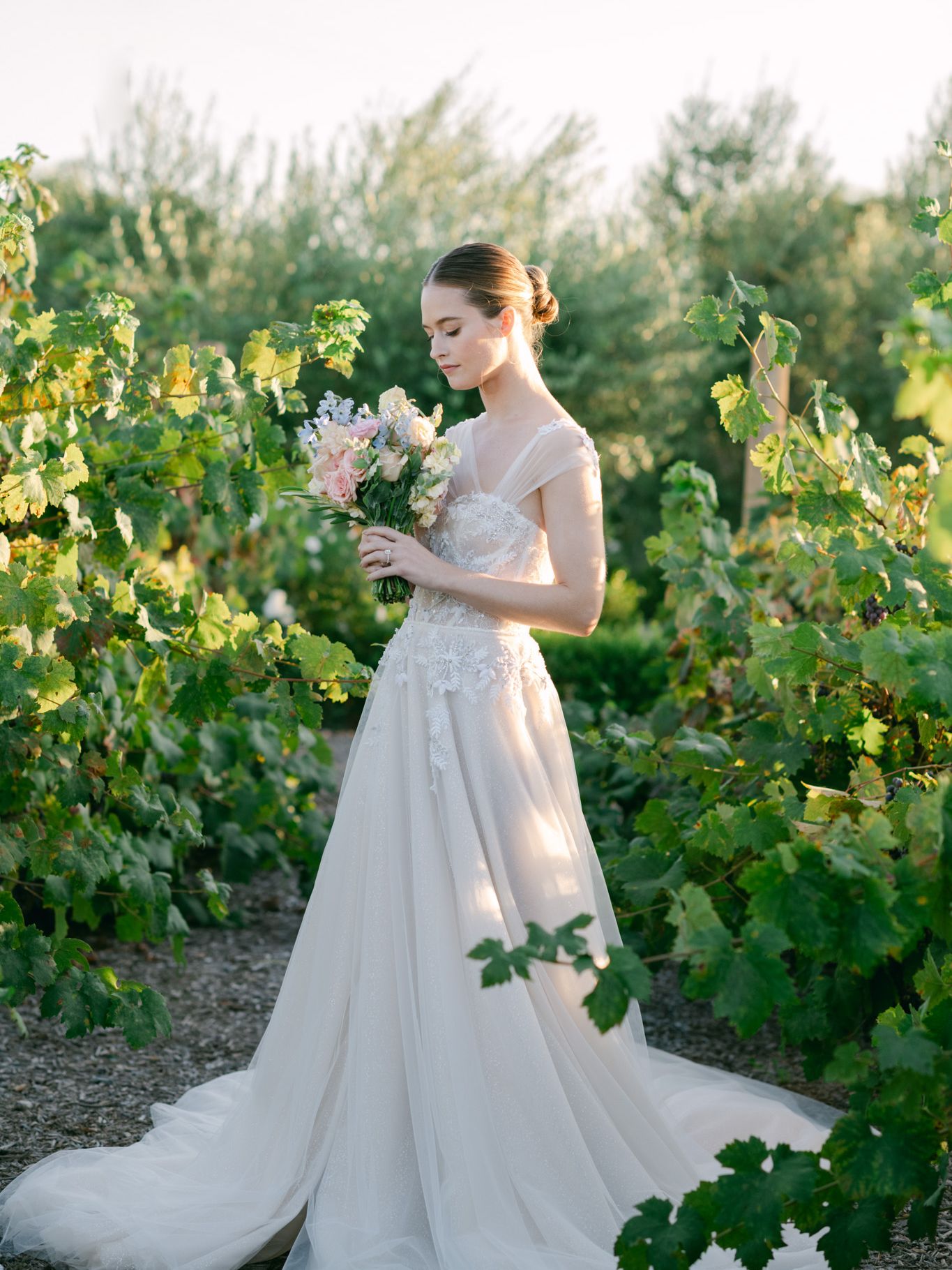 2023-12/Tuscan_Rose_Ranch-583_0.jpg