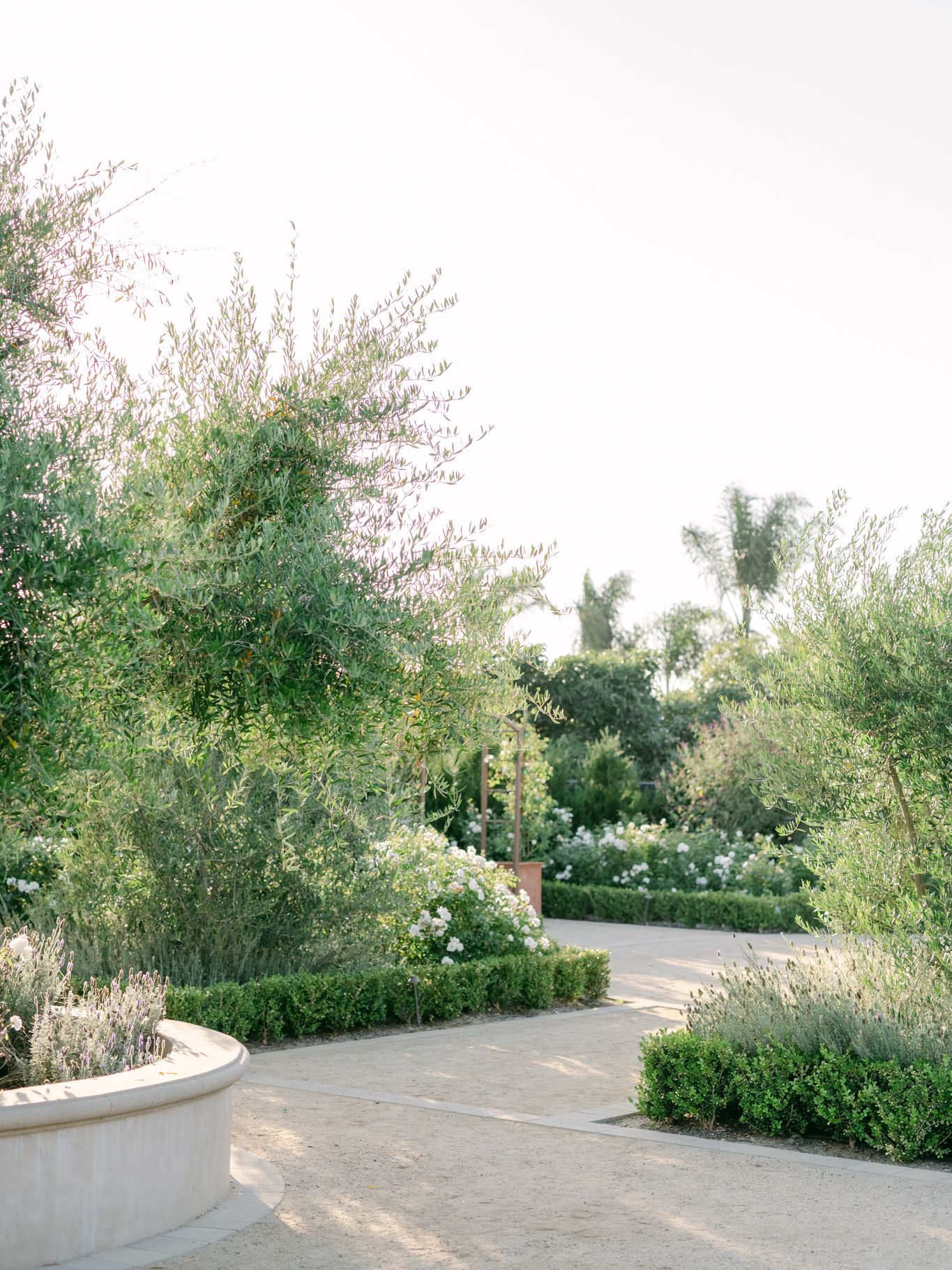 2023-12/Tuscan_Rose_Ranch-779.jpg