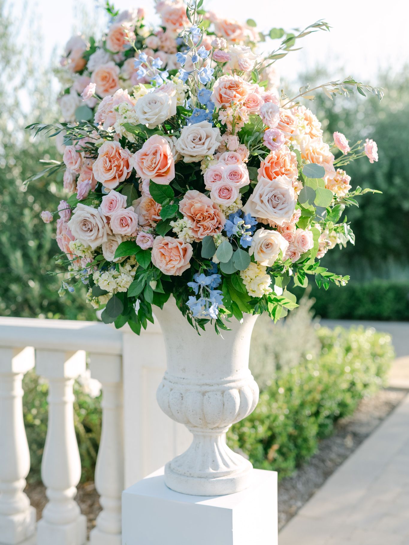 2023-12/Tuscan_Rose_Ranch-136.jpg
