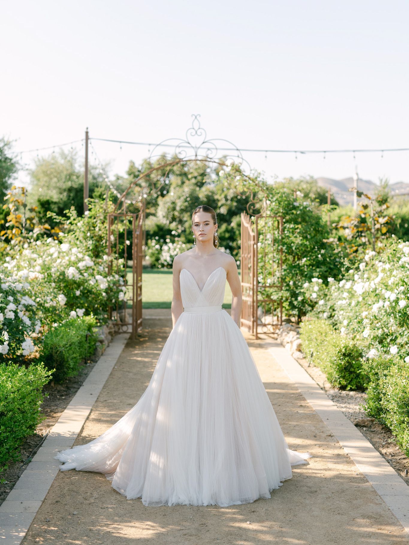 2023-12/Tuscan_Rose_Ranch-182_0.jpg