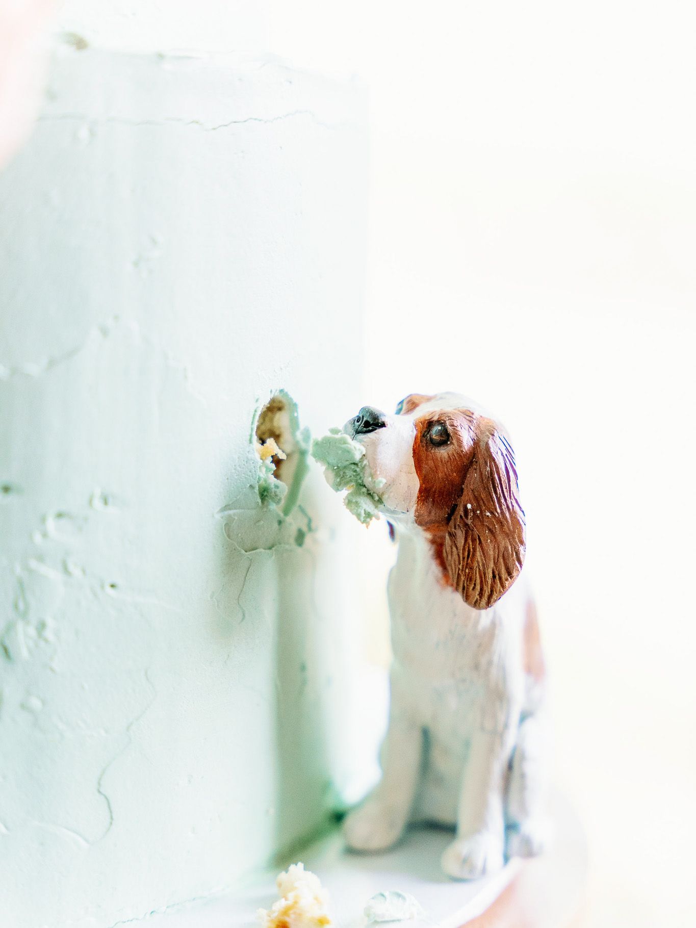 2024-03/Frank+Connor-Wedding_ashleylaprade-562.jpg