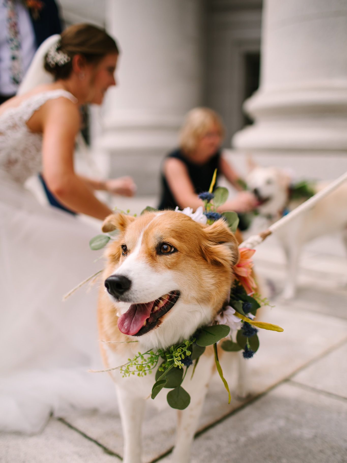 2024-07/Wedding at The Tinsmith - Emmylou & Jerrett - O & B Photo Co -205.jpg