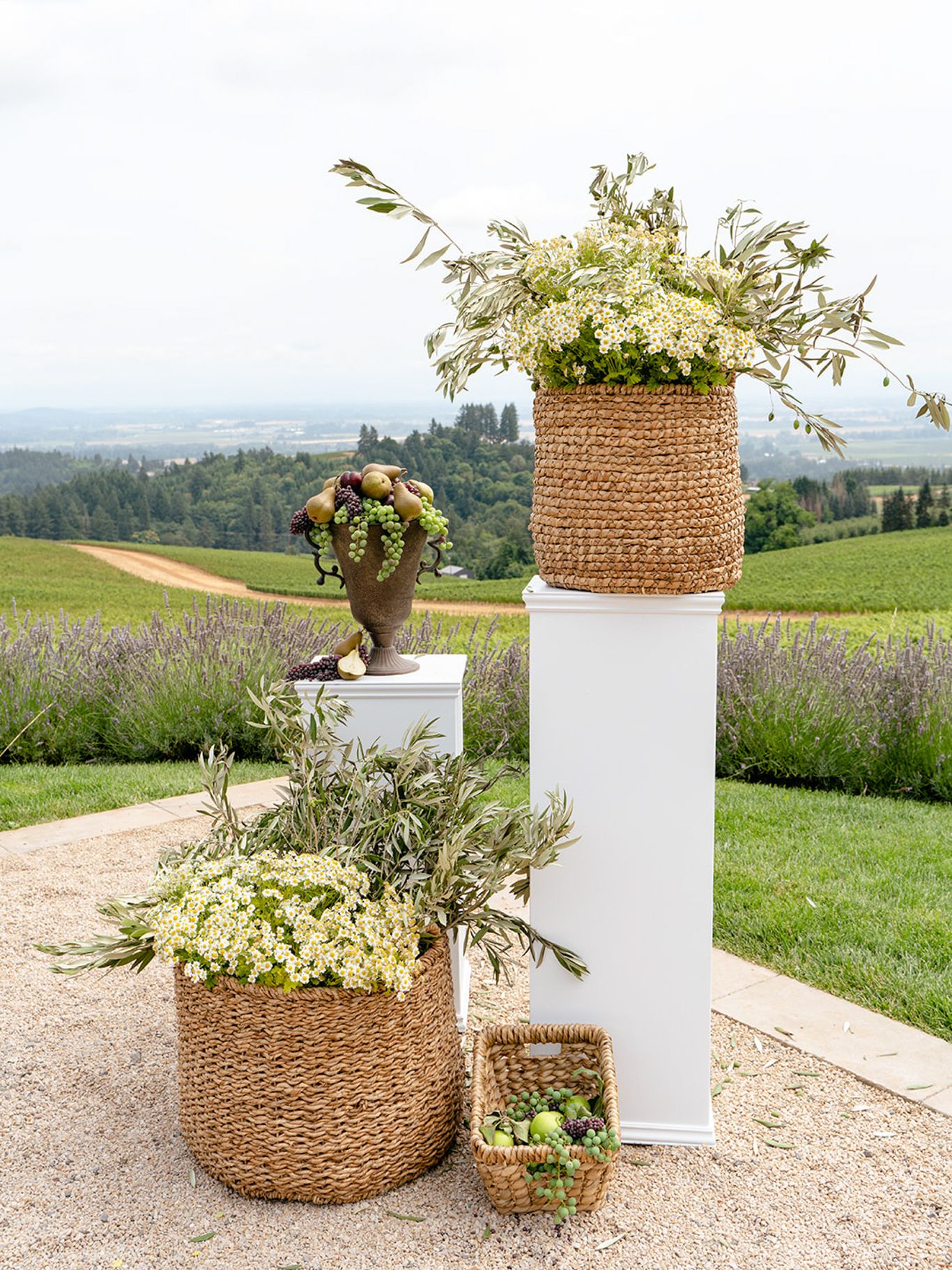 2024-01/black-walnut-vineyard-wedding-andrea-jon034.jpg