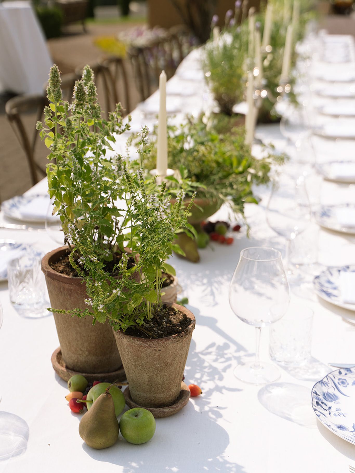 2024-01/black-walnut-vineyard-wedding-andrea-jon274.jpg
