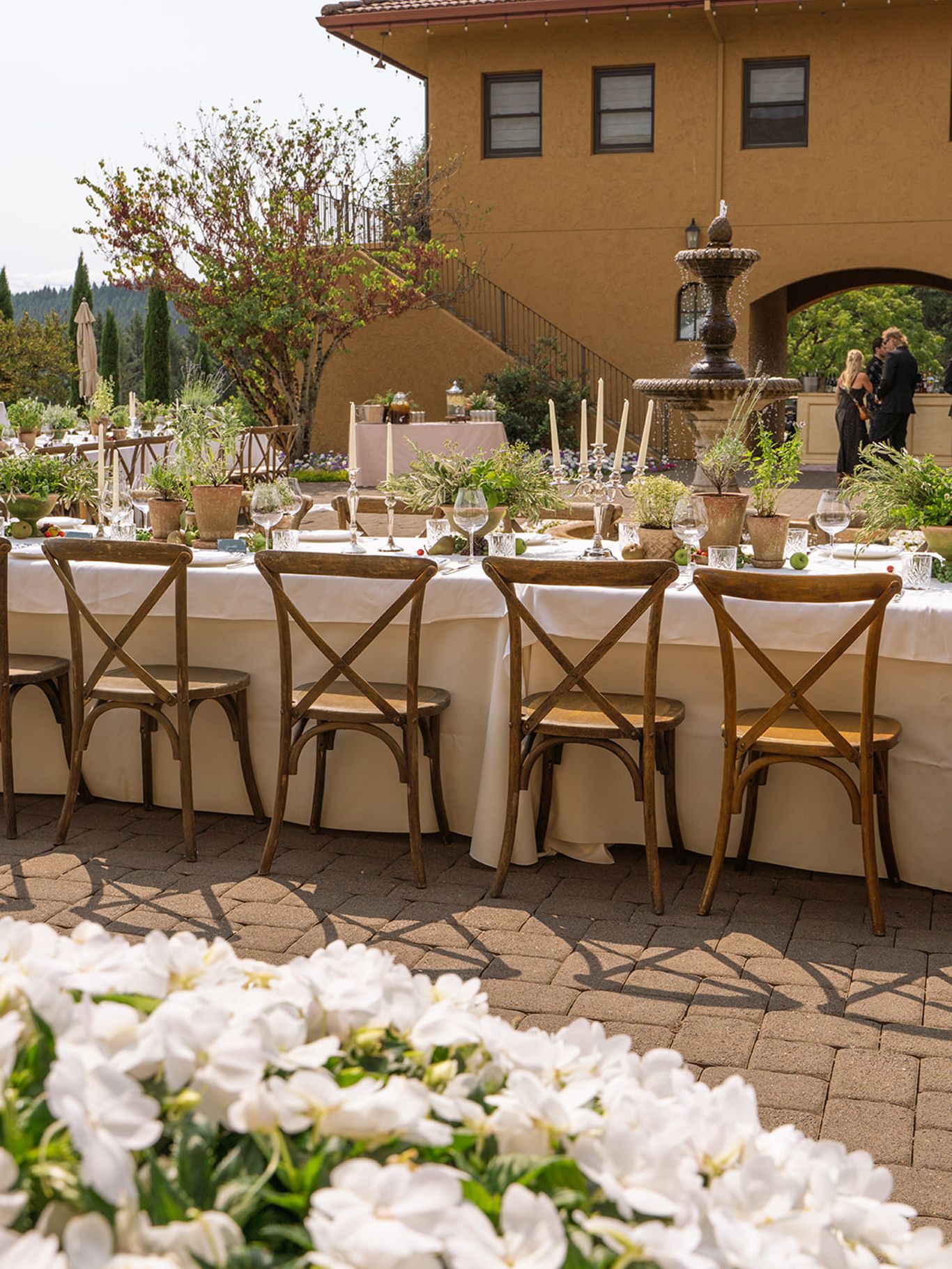 2024-01/black-walnut-vineyard-wedding-andrea-jon285.jpg