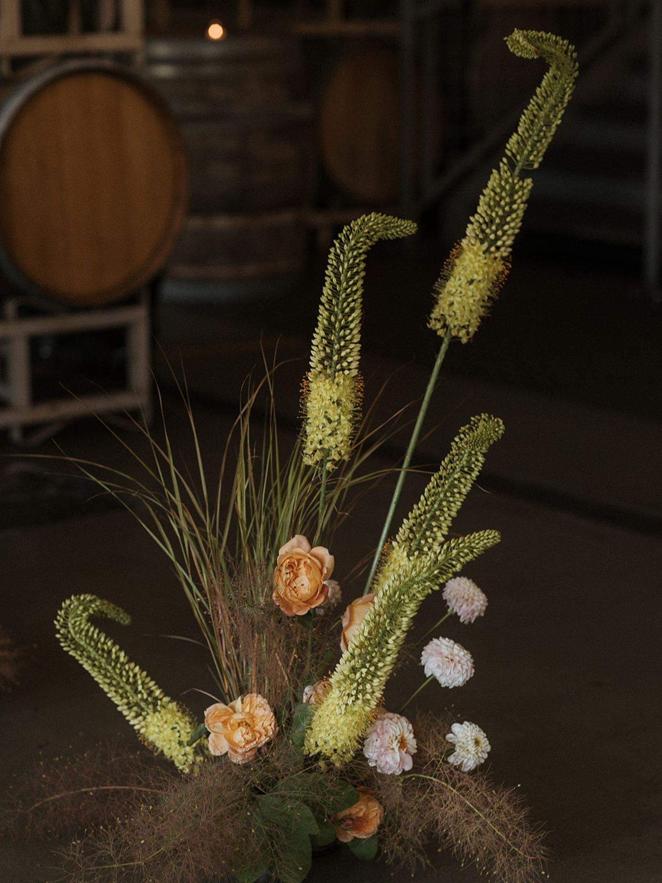 2024-03/SarahOliviaPhoto-275.jpg