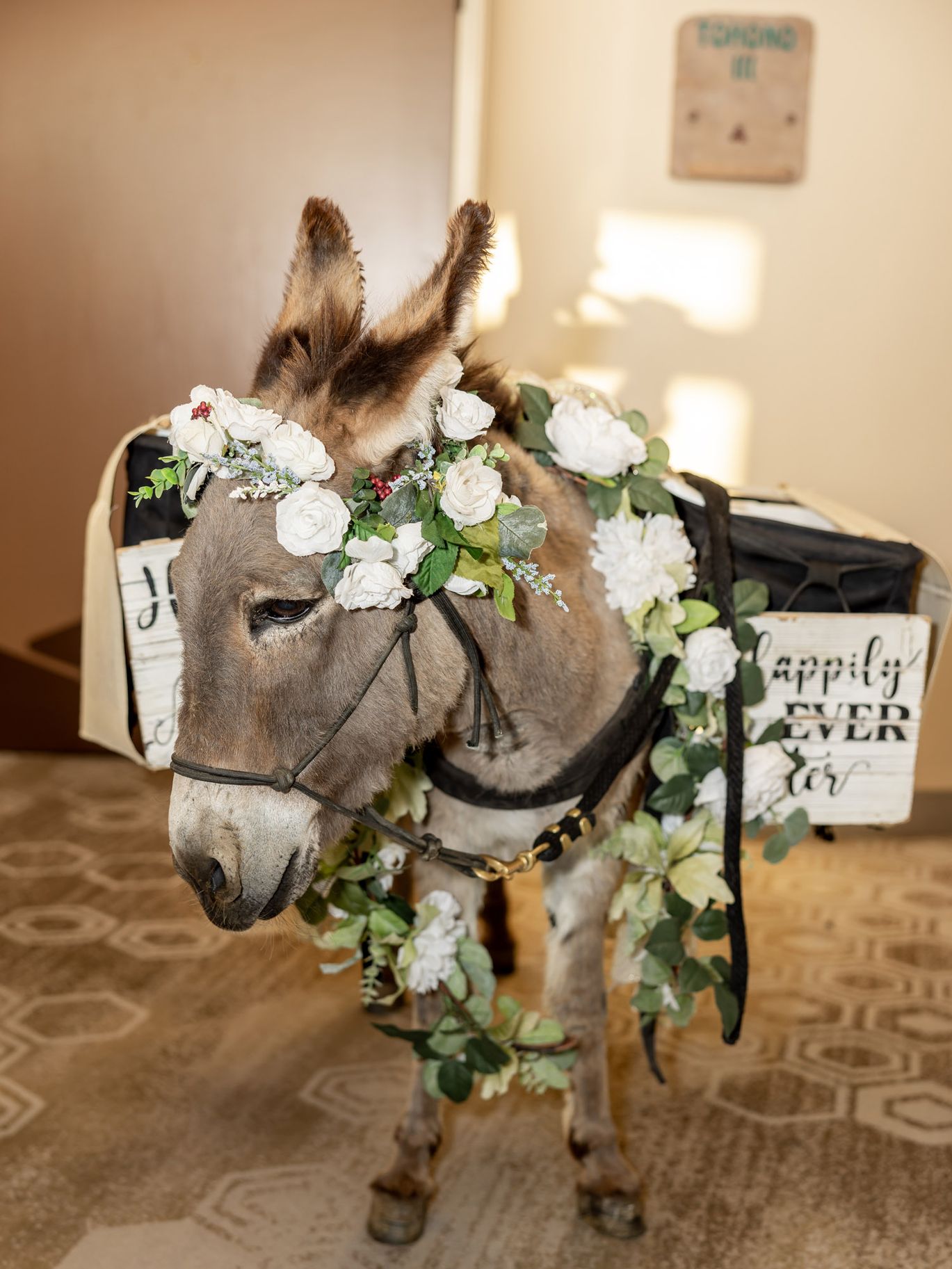 Kloos Wedding, AZB, Donkey Beer Flower Decor