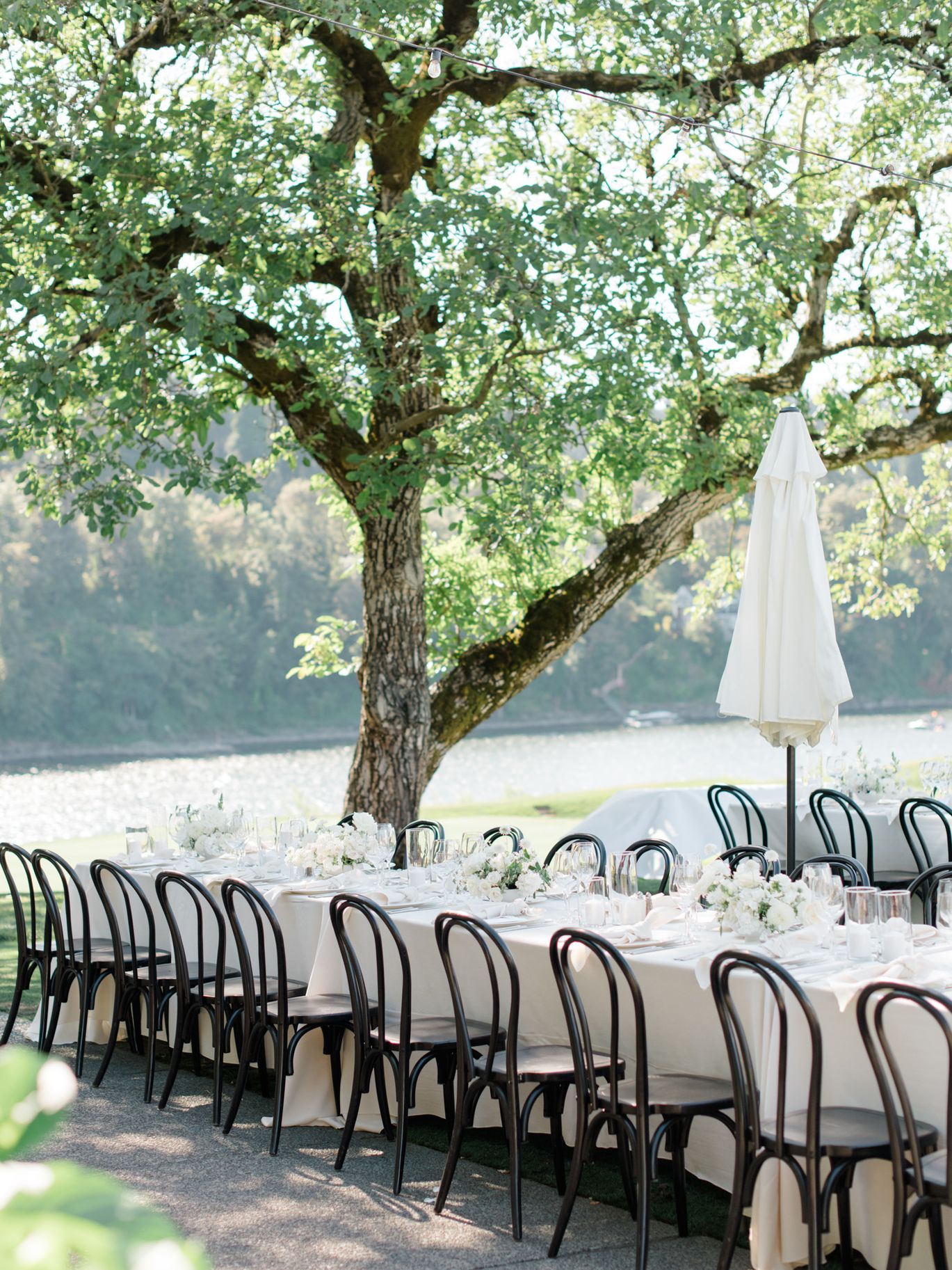 2023-08/JanetLinPhotography_Meagan&Tom-Wedding-559_0.jpg