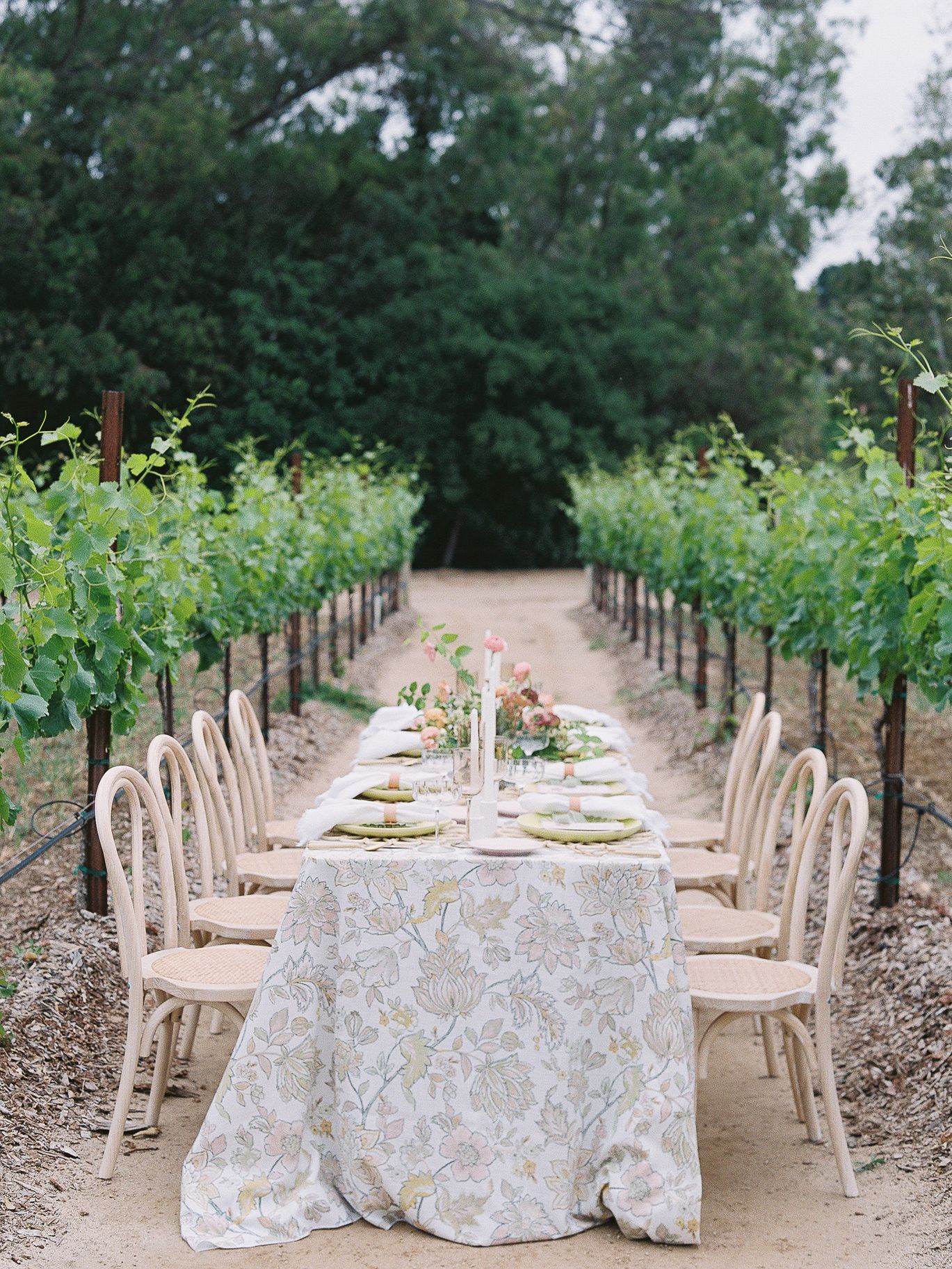 2023-11/MonserateWineryAllieLindseyPhotograpraphy(87).jpg