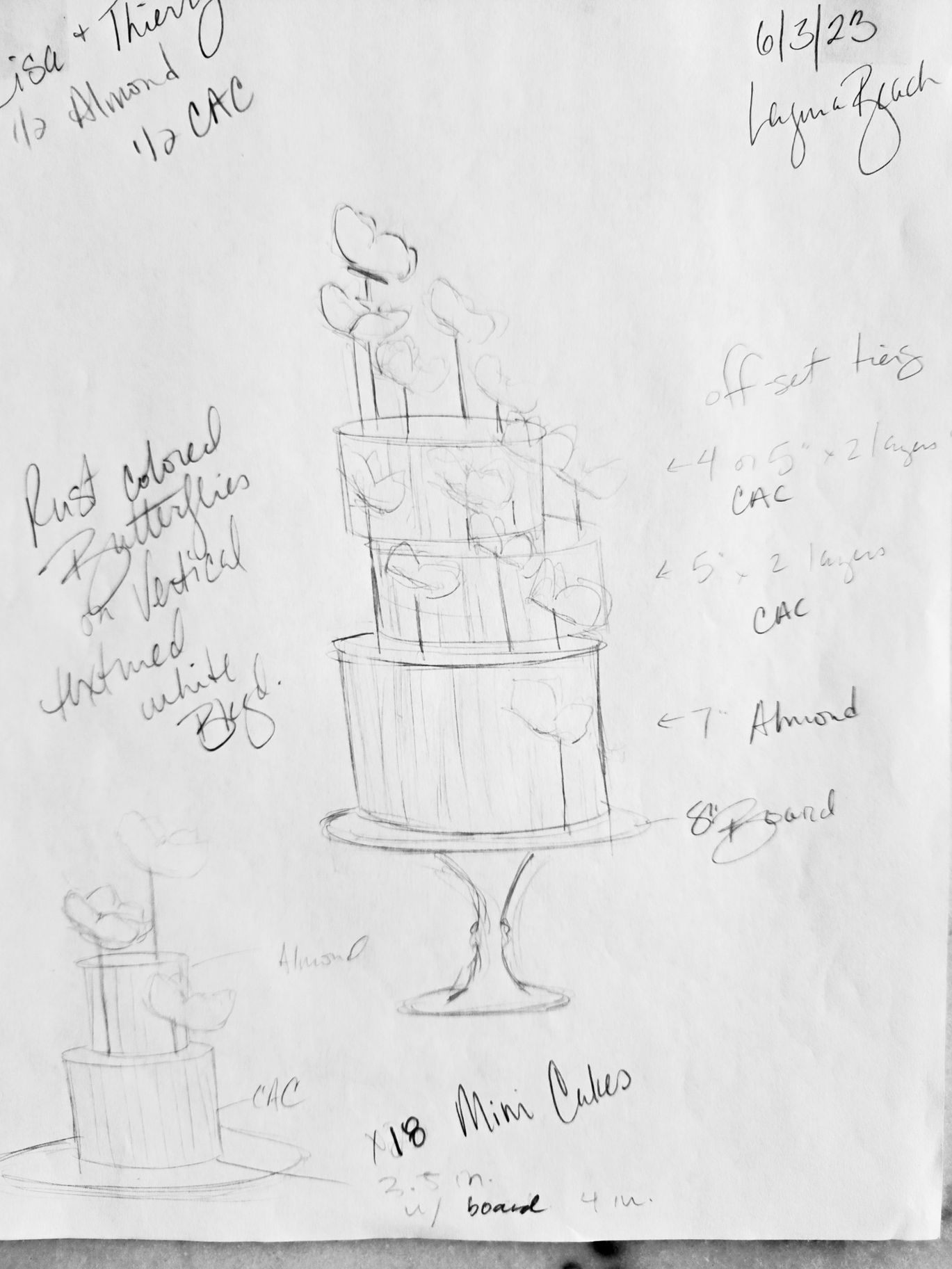 2023-12/butterfly cake sketch.jpg