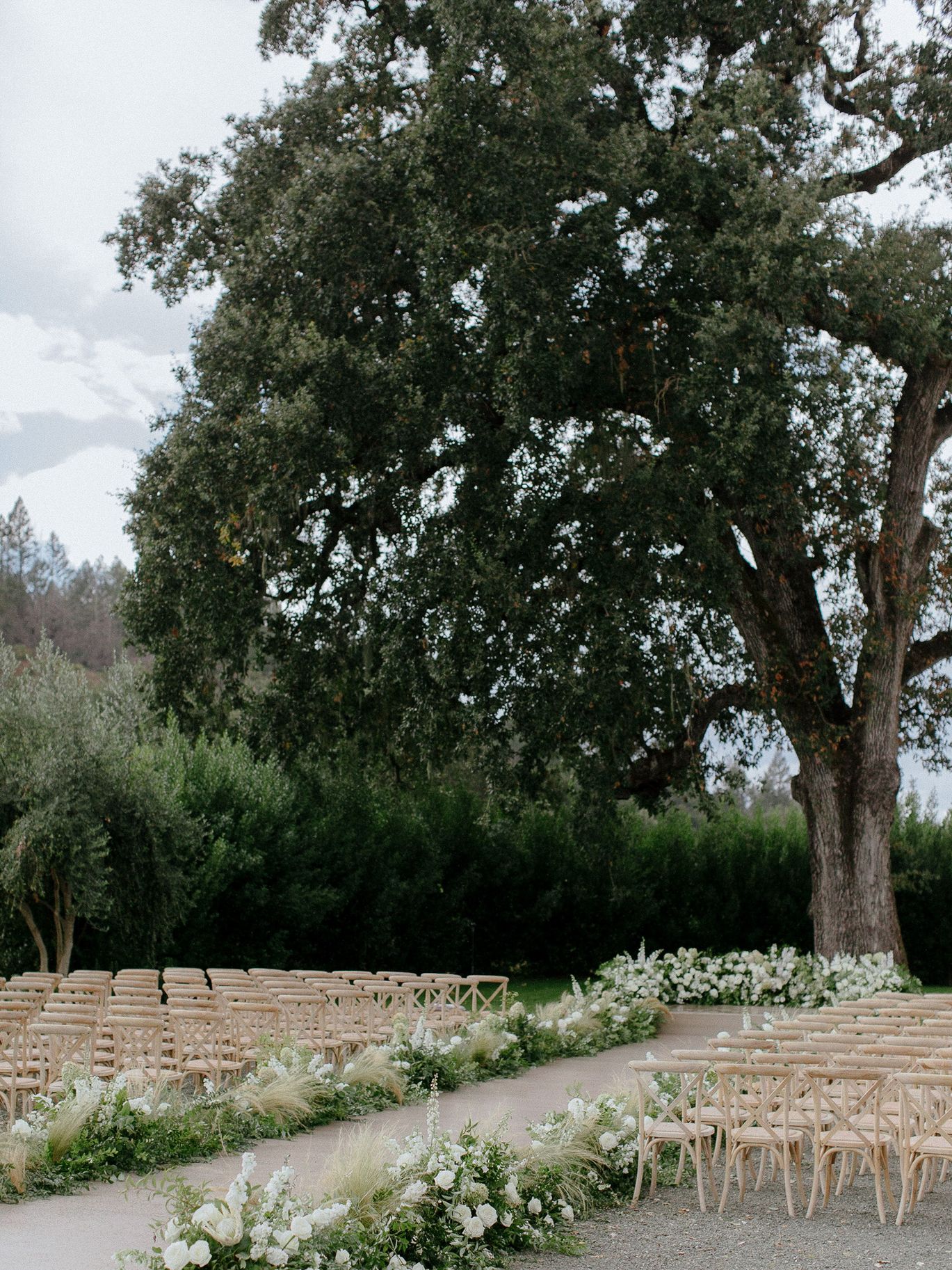 2024-05/BestRealWedding - Chris-J-Evans-calistoga-BS4402_0.jpg