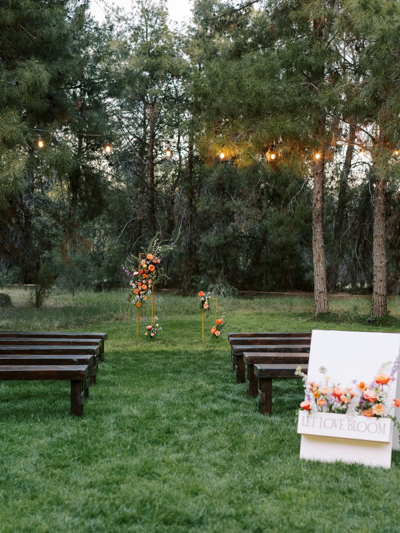 2024-07/004_Sara_Bishop_Spring_Meadows_Schnepf_Farms_March 05, 2024.jpg