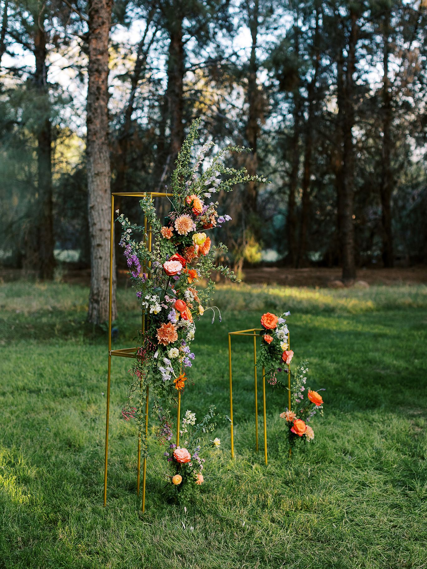 2024-07/005_Sara_Bishop_Spring_Meadows_Schnepf_Farms_March 05_ 2024.jpg