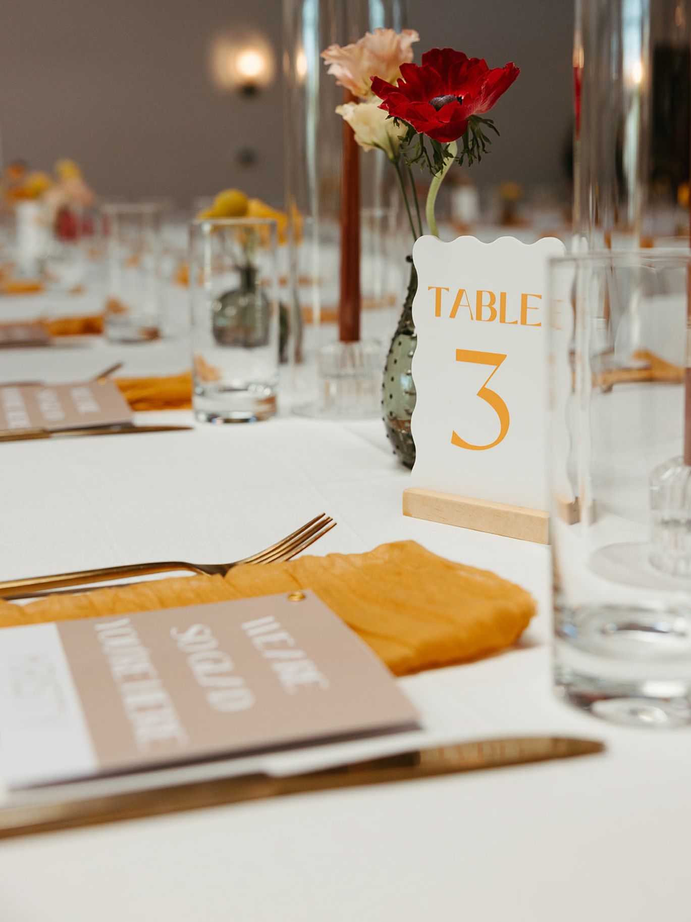 2024-07/TinsmithWeddingMadisonWI-CS-6902_websize.jpg