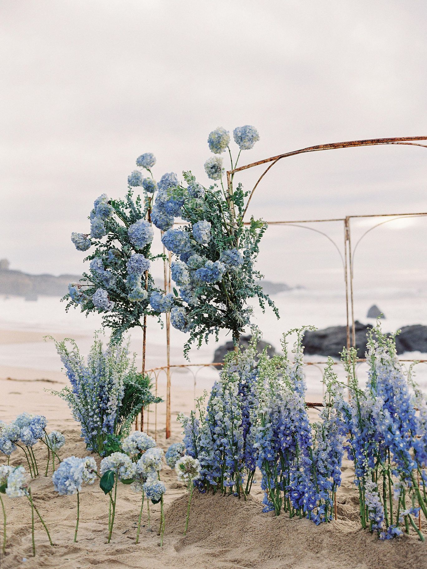 2024-07/Carmel-December2022-Peony-Photography-California-Big-Sur-119.jpg