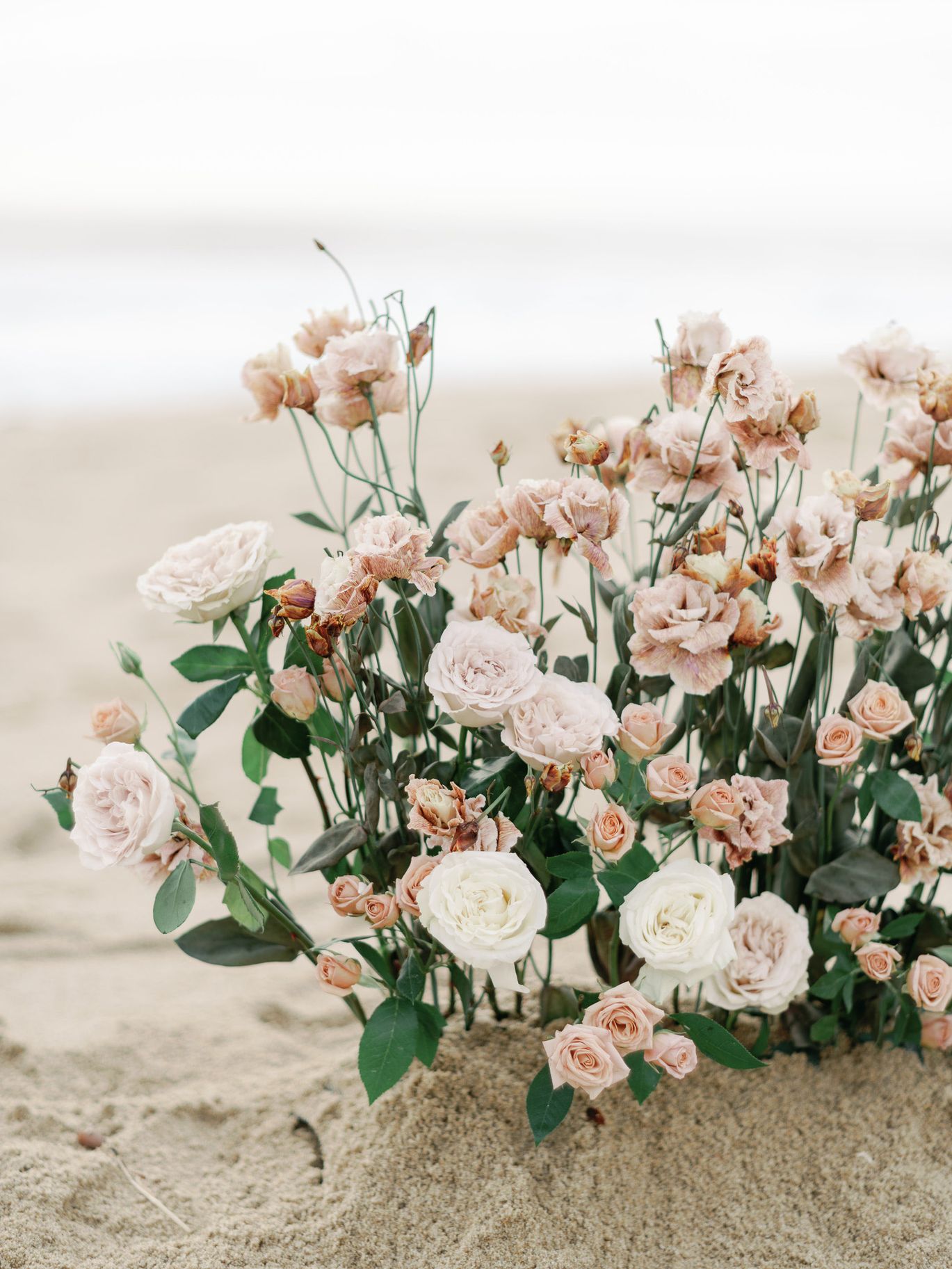 2024-07/Carmel-December2022-Peony-Photography-California-Big-Sur-202.jpg