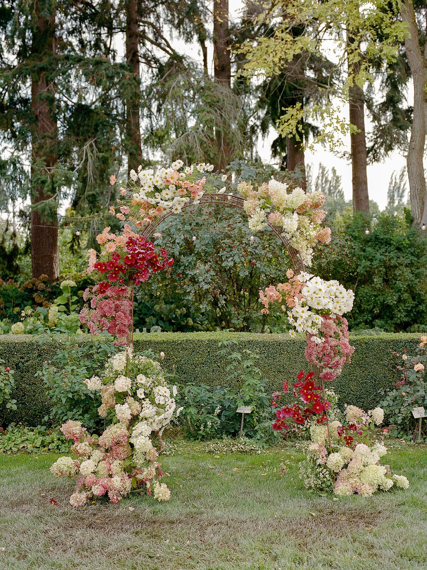 2024-08/Cosmo Wedding at Christiansons Nursery - Kerry Jeanne Photography - 87.jpg