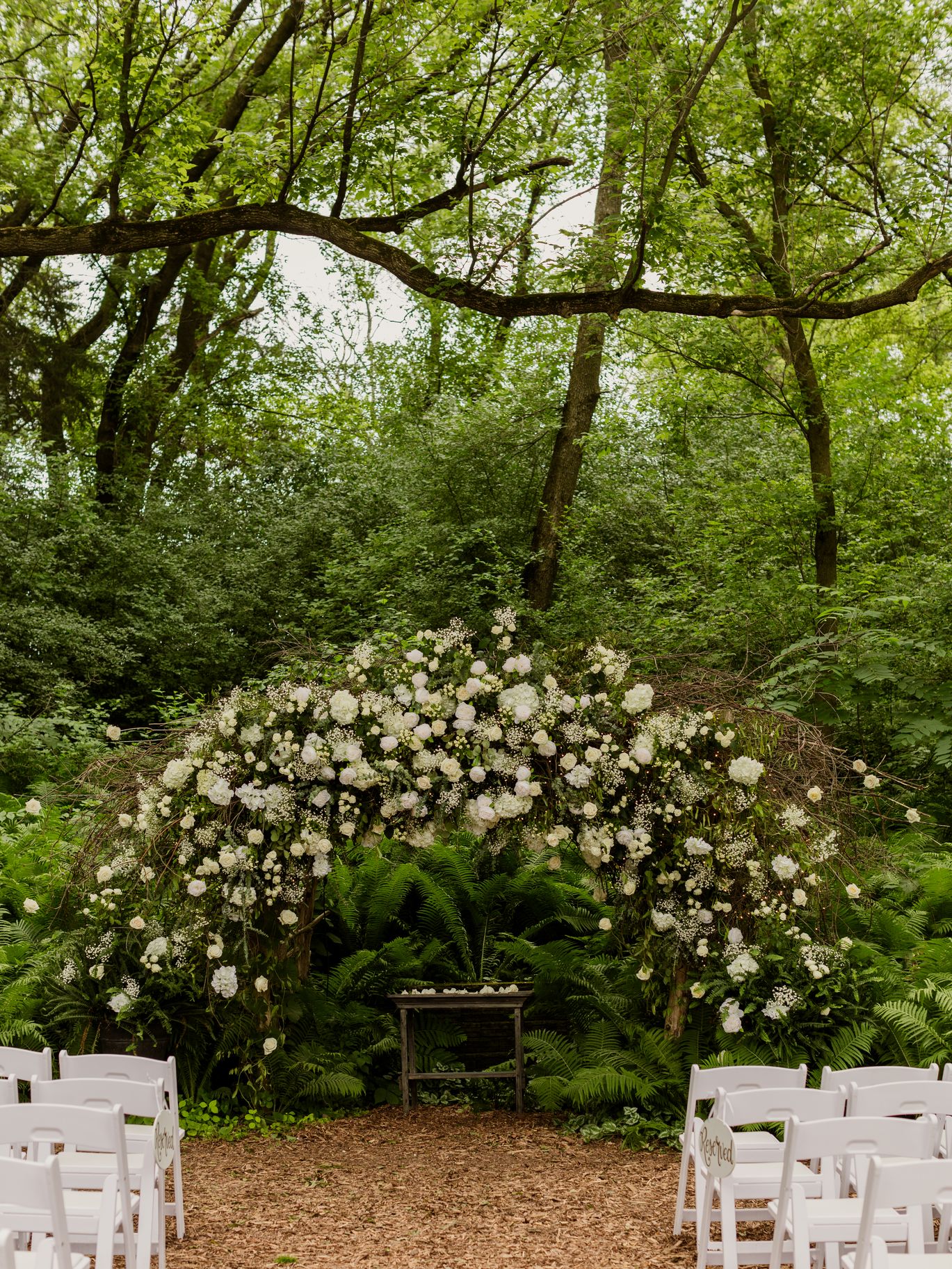 2024-11/Cat Aubrey Wedding-22.jpg