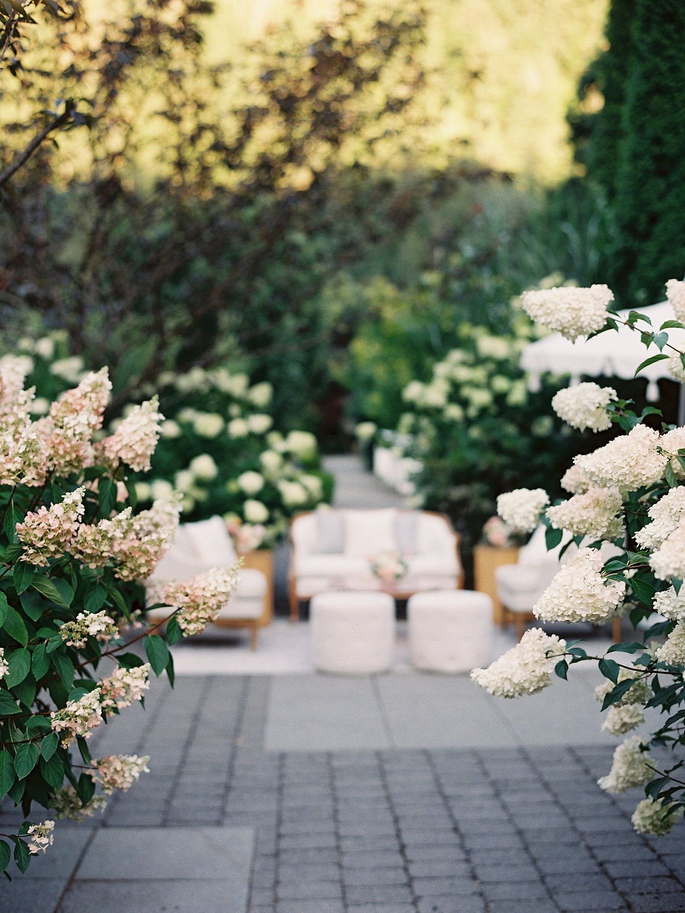 2024-11/fox-hollow-farms-wedding-photographer-jacqueline-benet_0084.jpg