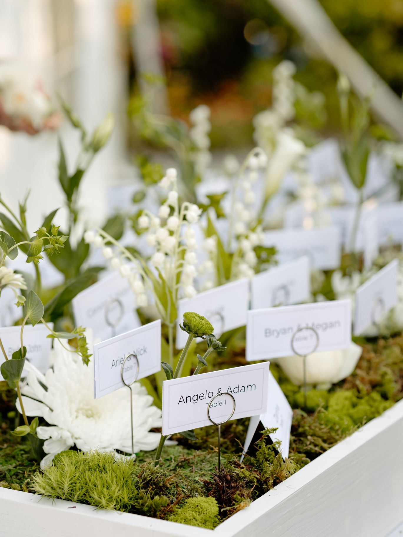 2024-11/Poppy Photography - Casey & Andrew-14.jpg