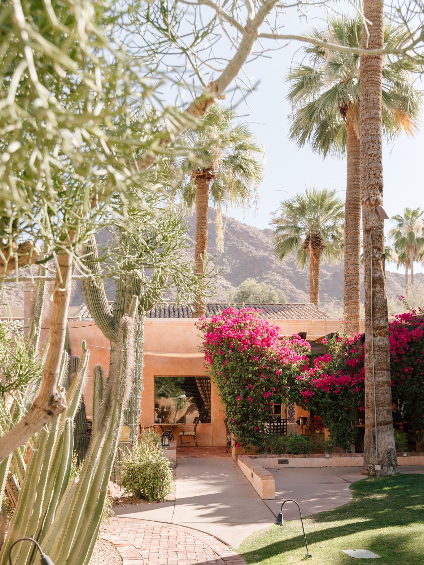 2025-01/V_AZBSS25_RoyalPalms_KaylieMillerPhotos1.jpg