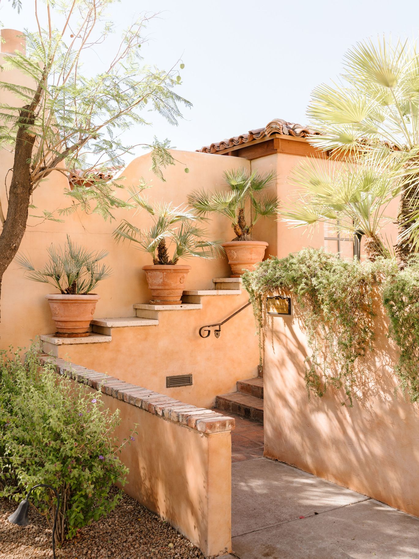 2025-01/V_AZBSS25_RoyalPalms_KaylieMillerPhotos11.jpg