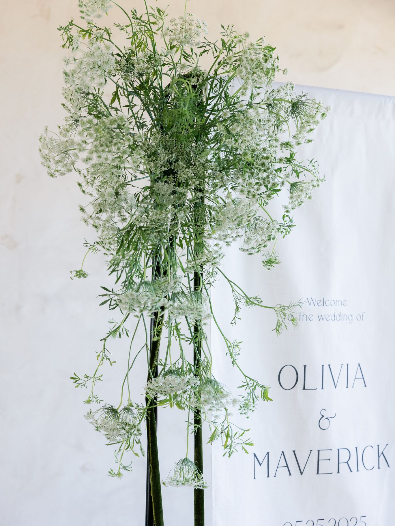 2025-02/CWD_Draping_Shoot_Jen_Rodriguez_025.JPG