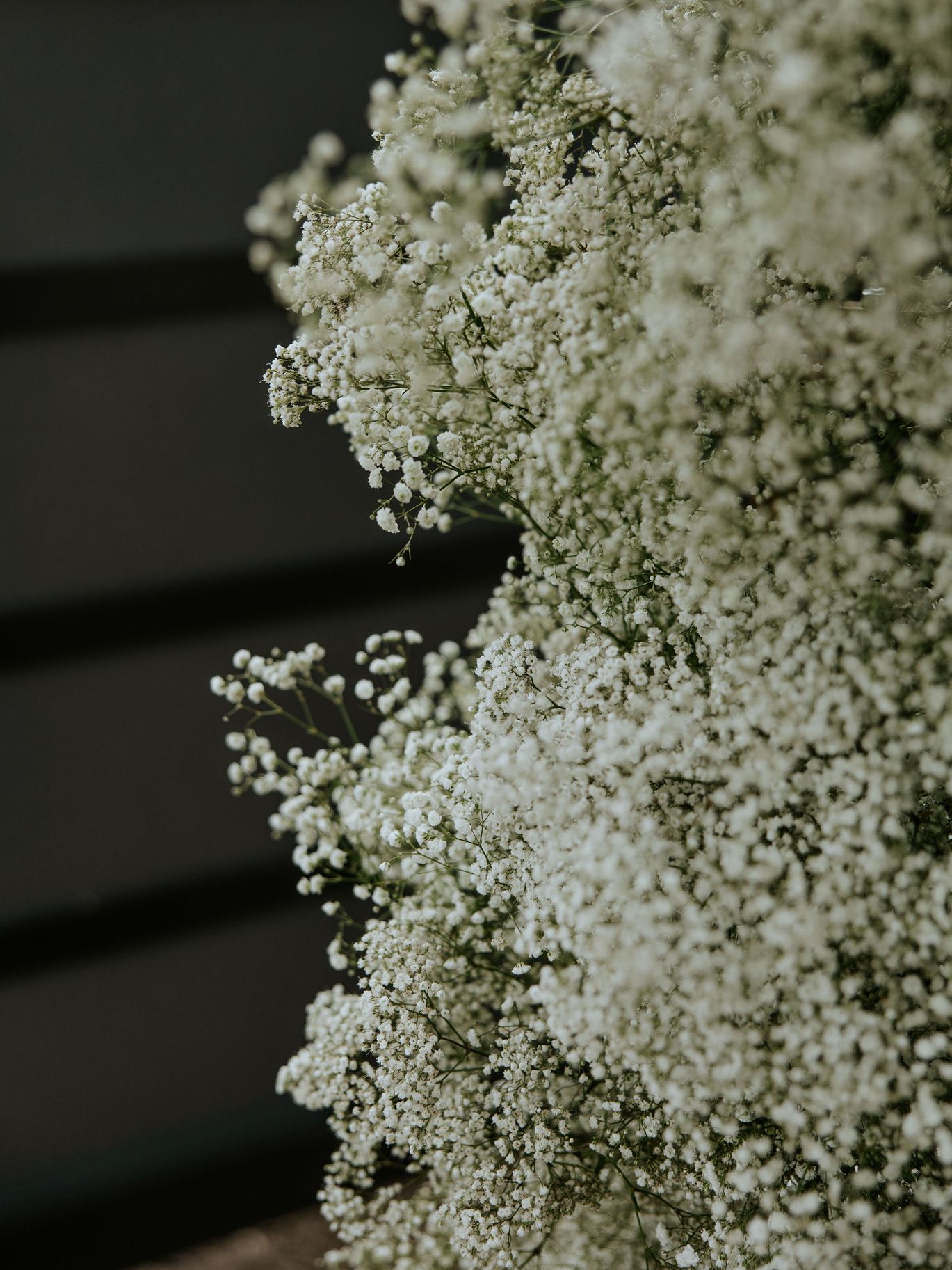 2025-02/Mo+MadisonBarry-AViewWestShoresWedding-WaterlooNebraskaPhotographer-166.jpg