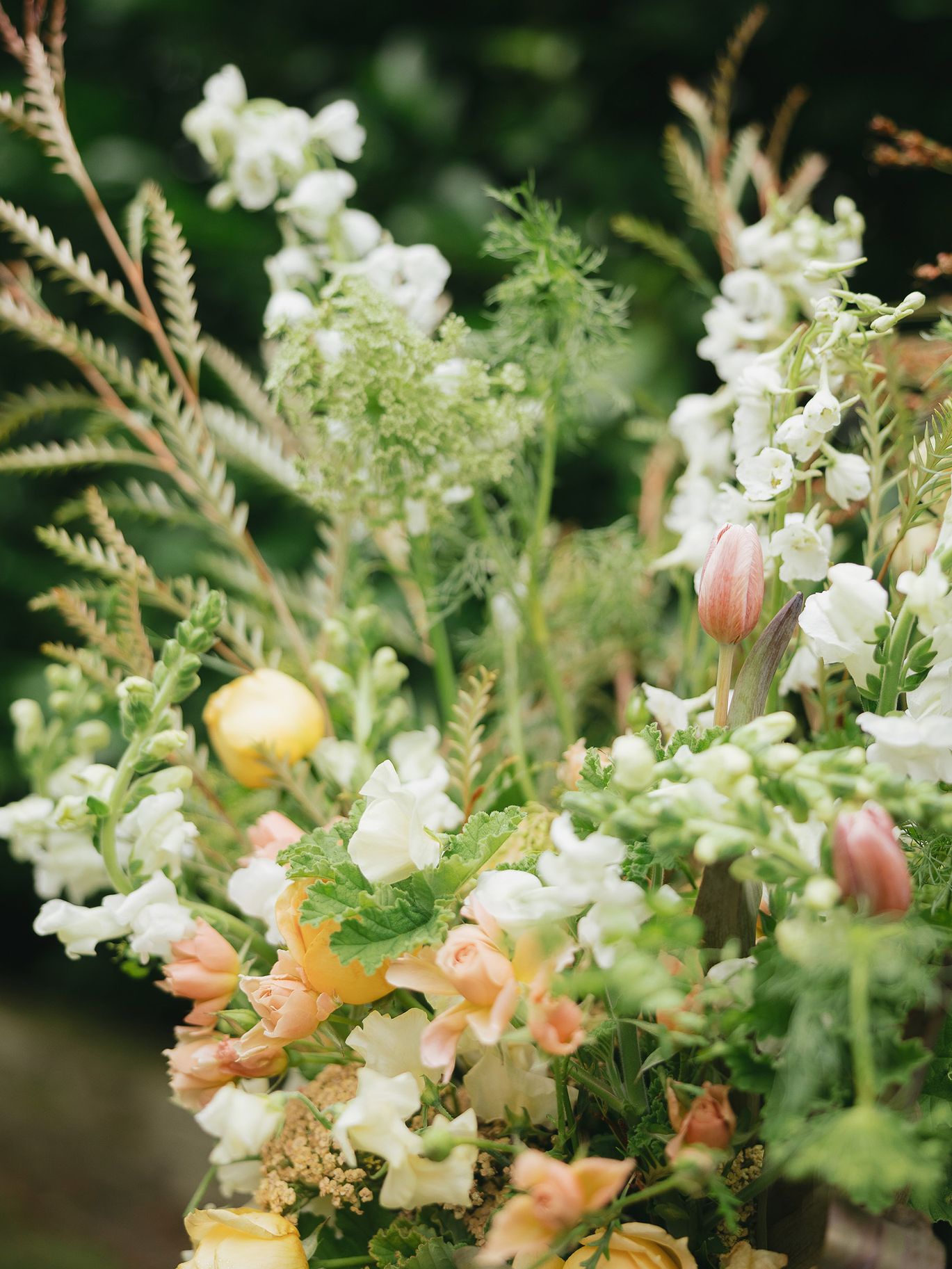 2025-02/WashingtonWeddingDaySPring-mylaliphotos-24.jpg