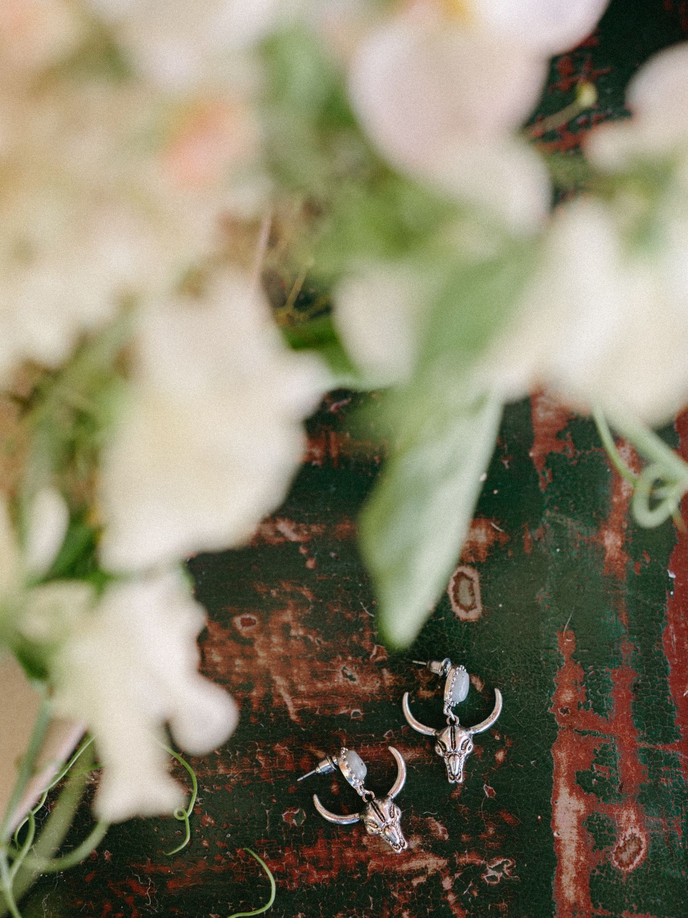 2025-02/wind-mountain-ranch-wedding-briana-morrison-4.jpg