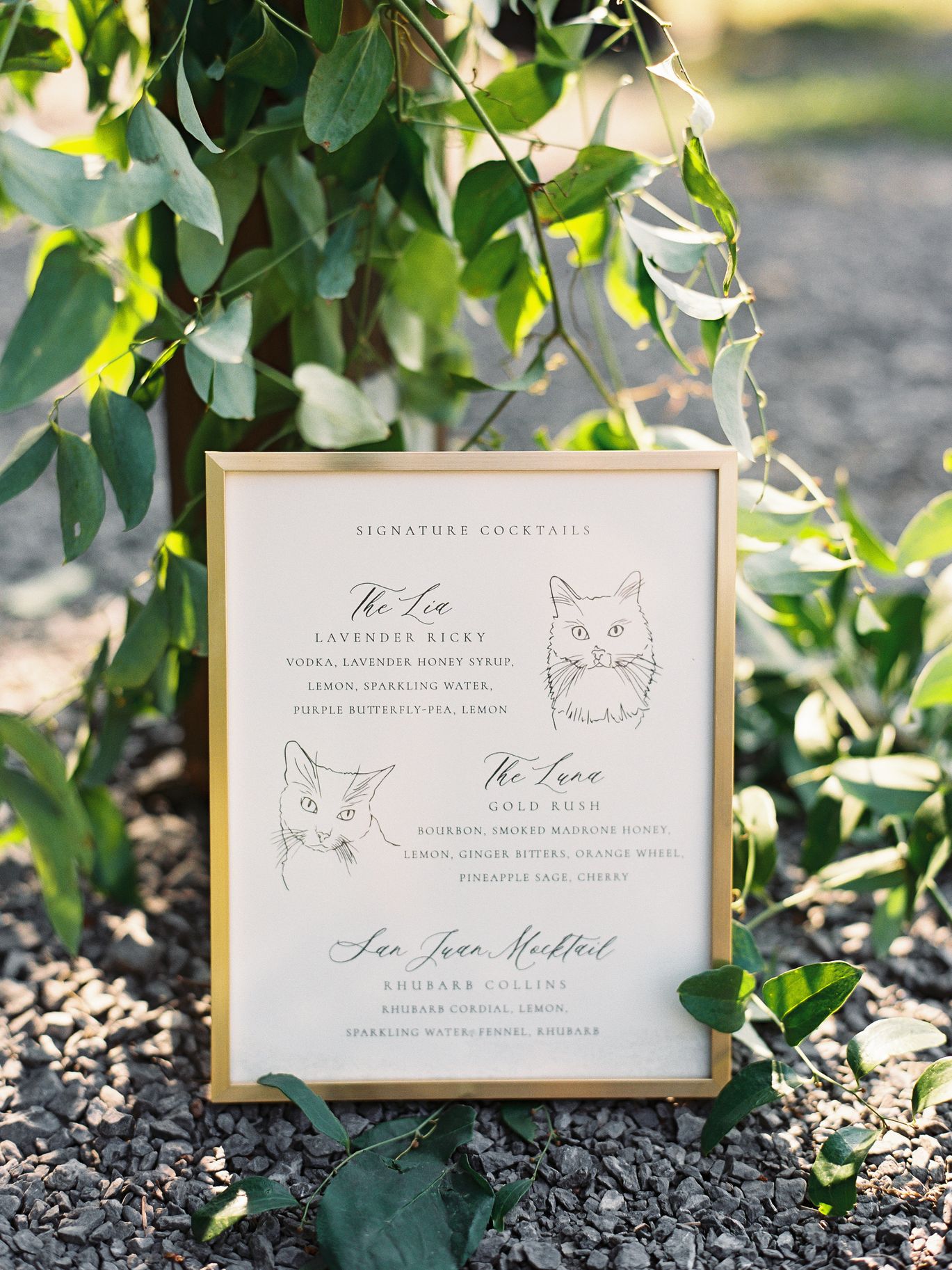 2025-03/Ginny & Adam_s Wedding - 7. Reception -1_0.jpg