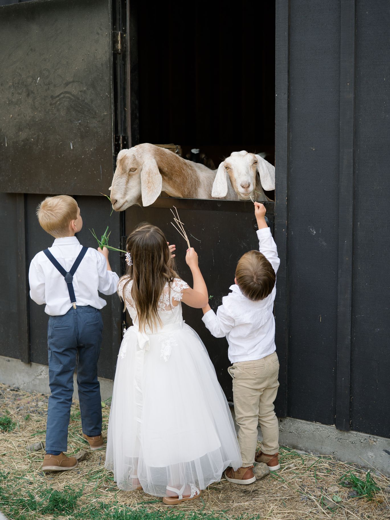 2025-03/Ginny & Adam_s Wedding - 7. Reception -19_0.jpg