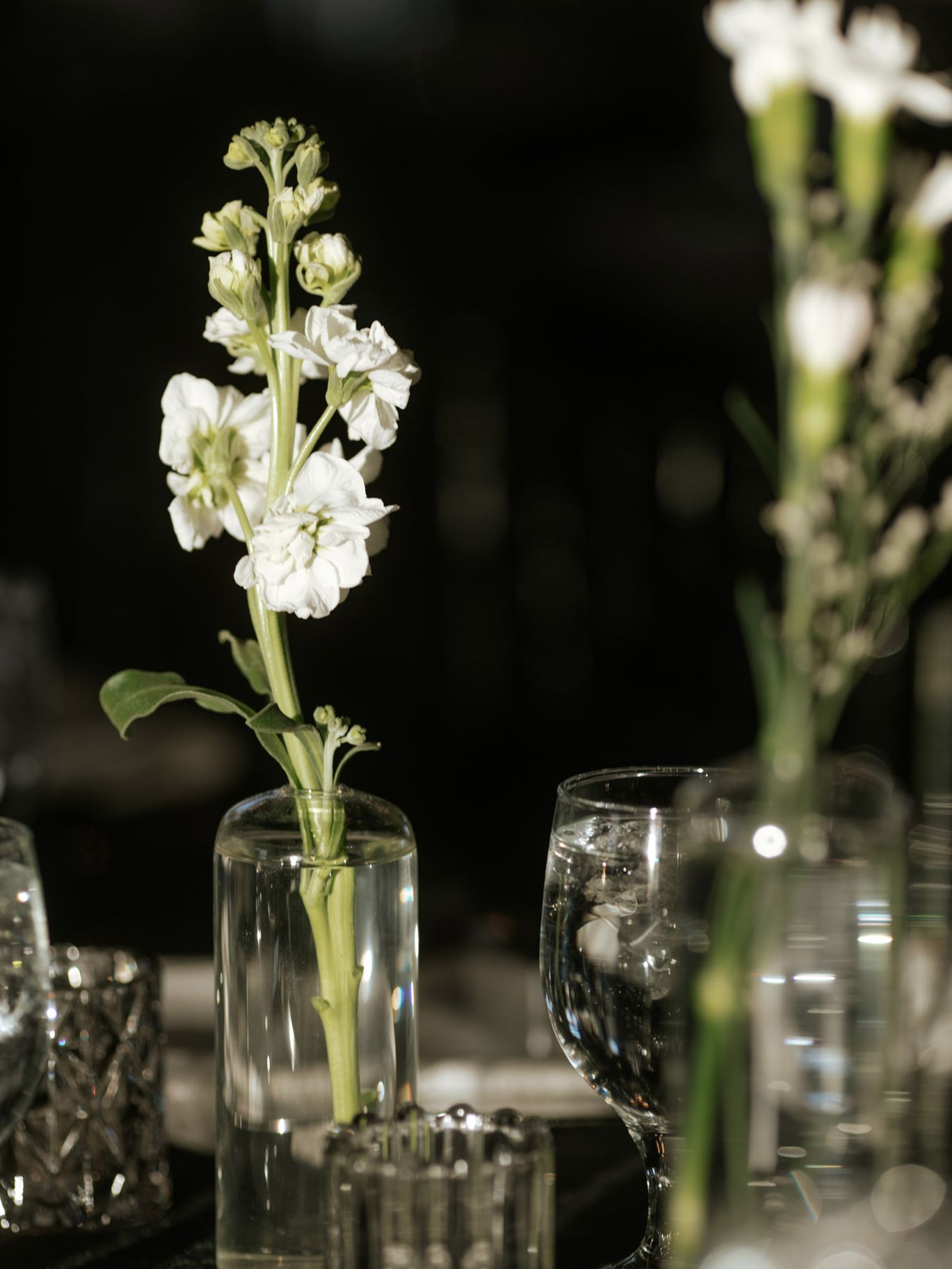 2025-03/ModernWeddingattheLiederkranzandBoulderFlatts-Janzens-GrandIslandWeddingPhotographer-370.jpg