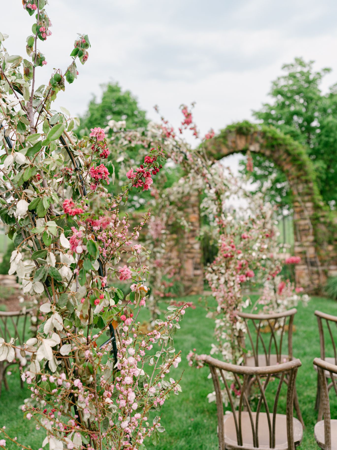 2025-04/Sanders_Redeemed_Farm_Cherry_Blossoms-0045.jpg