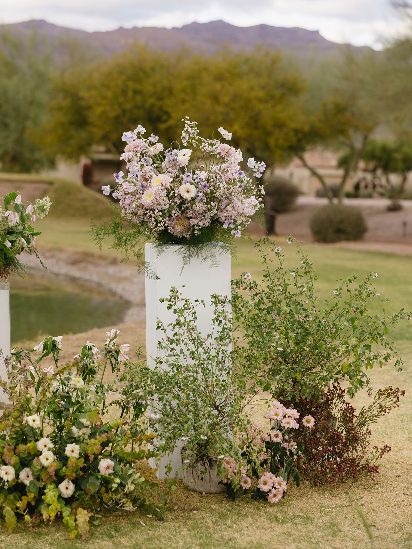 2025-05/March-Arizona-Bride-336.jpg
