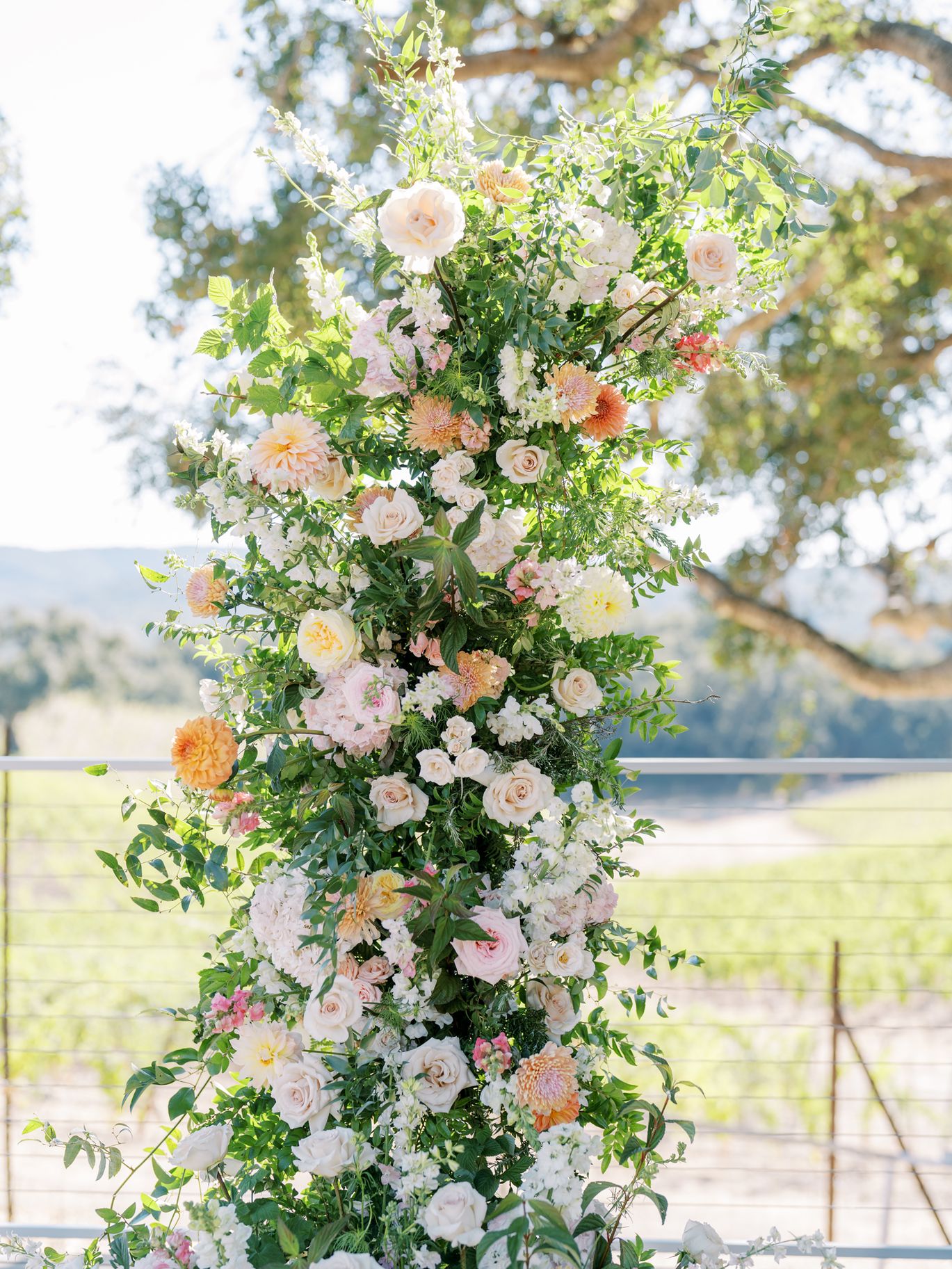 2025-08/Oak & Vine Vineyard Estate | Kristine & Matt's Wedding | Wedding | Derek Preciado Photography-211.jpg