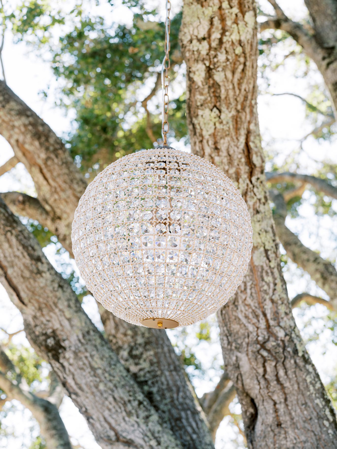 2025-08/Oak & Vine Vineyard Estate | Kristine & Matt's Wedding | Wedding | Derek Preciado Photography-206.jpg