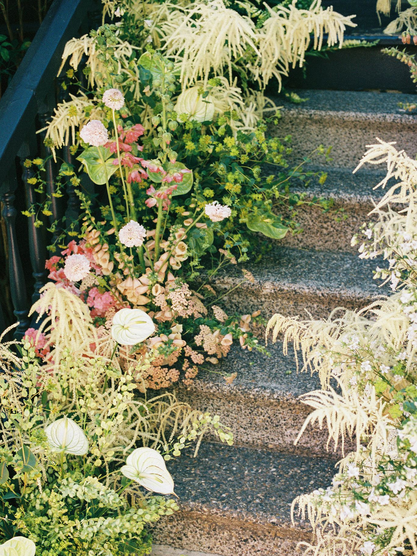 2025-08/TuslersFILM-6_0.jpg